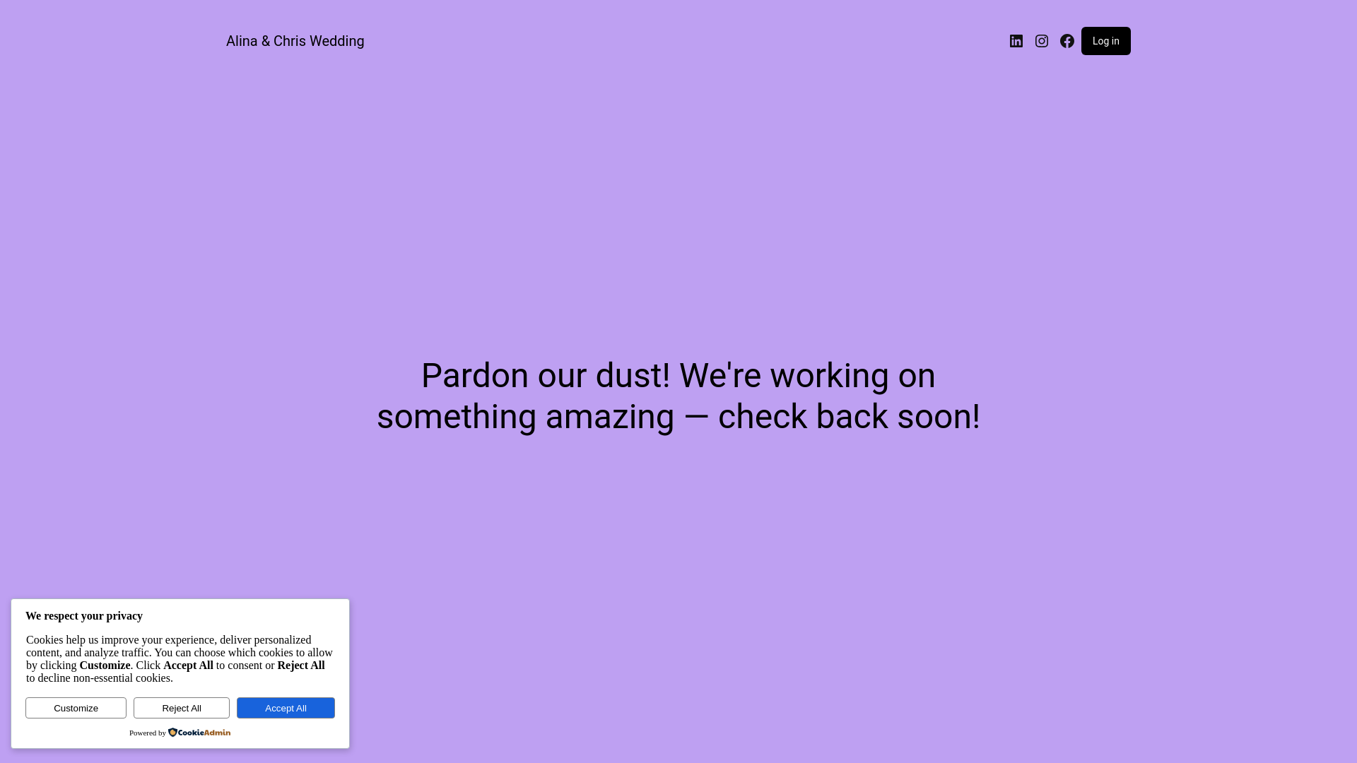 website screenshot of https://alinachris.wedding/