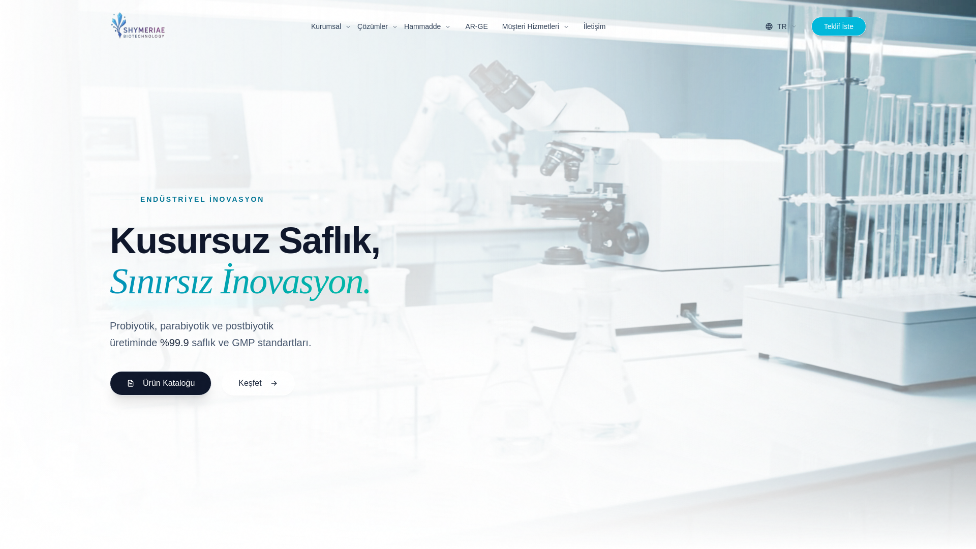 website screenshot of https://shymeriae.com.tr/