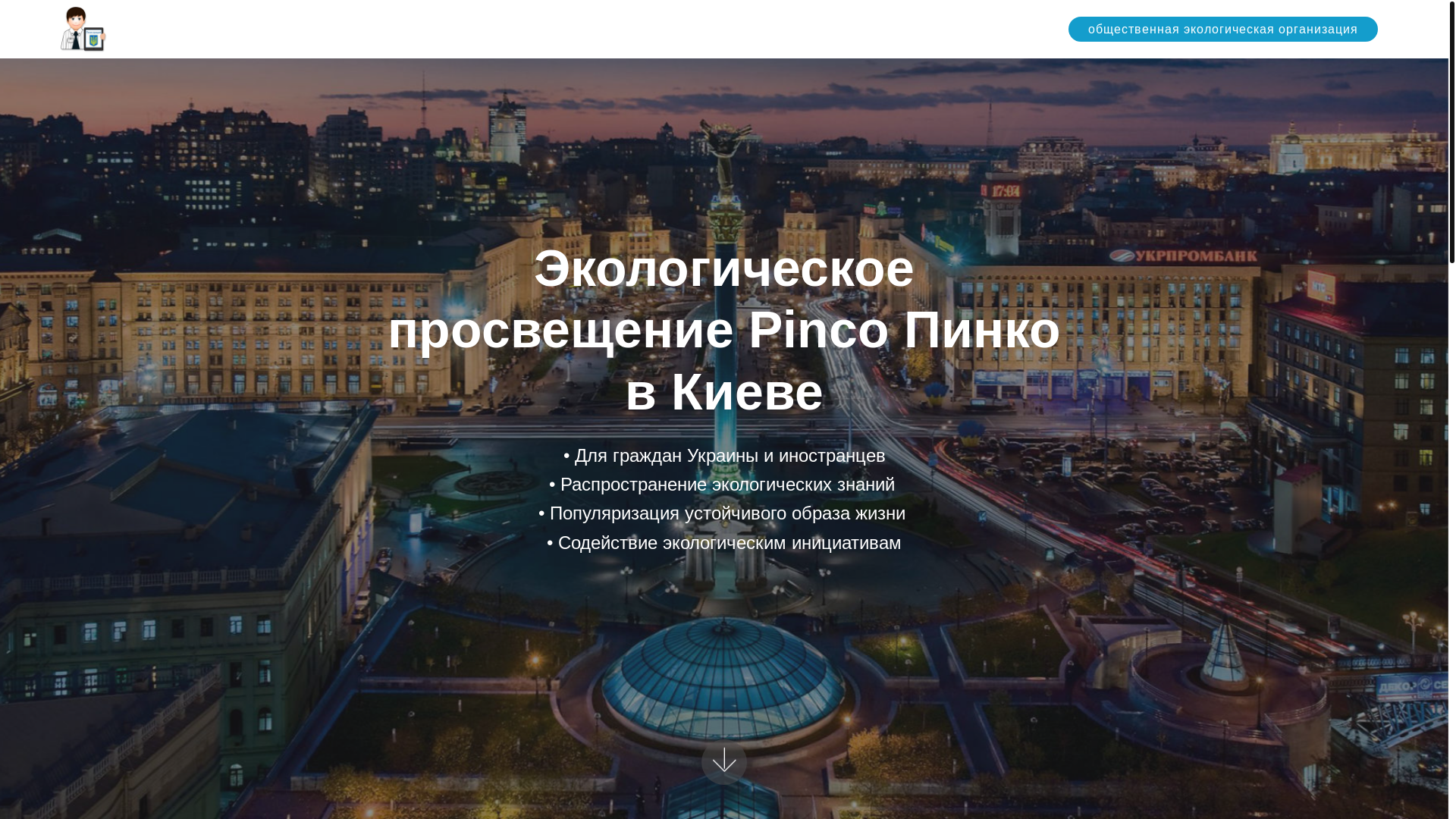 website screenshot of https://pincloudforest.website