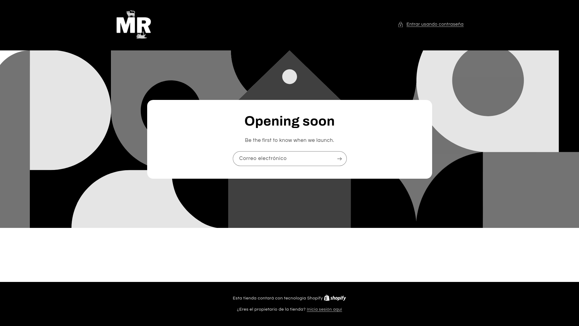 website screenshot of https://michironron.com/