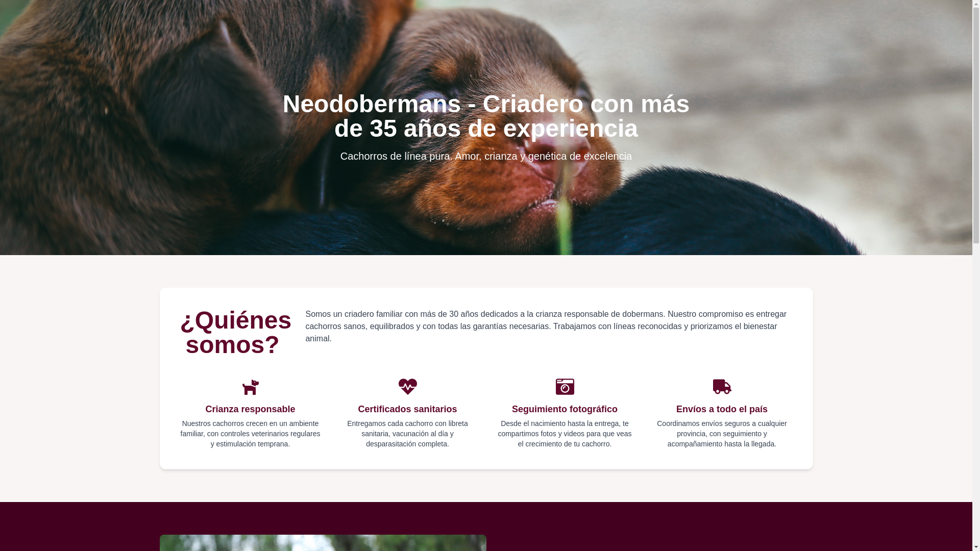 website screenshot of https://neodobermans.com/