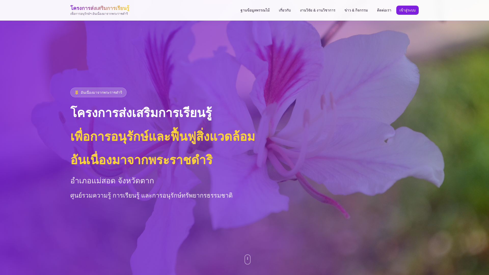 website screenshot of https://royalproject-phadaeng.com/