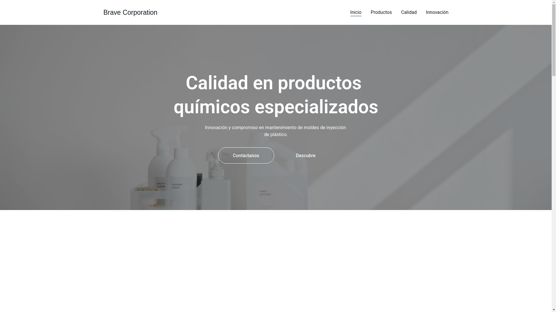 website screenshot of https://bravecorp.com.mx/