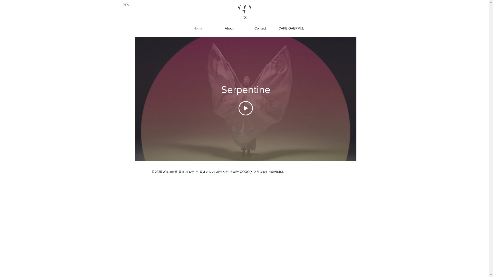 website screenshot of https://ppulproject.com/