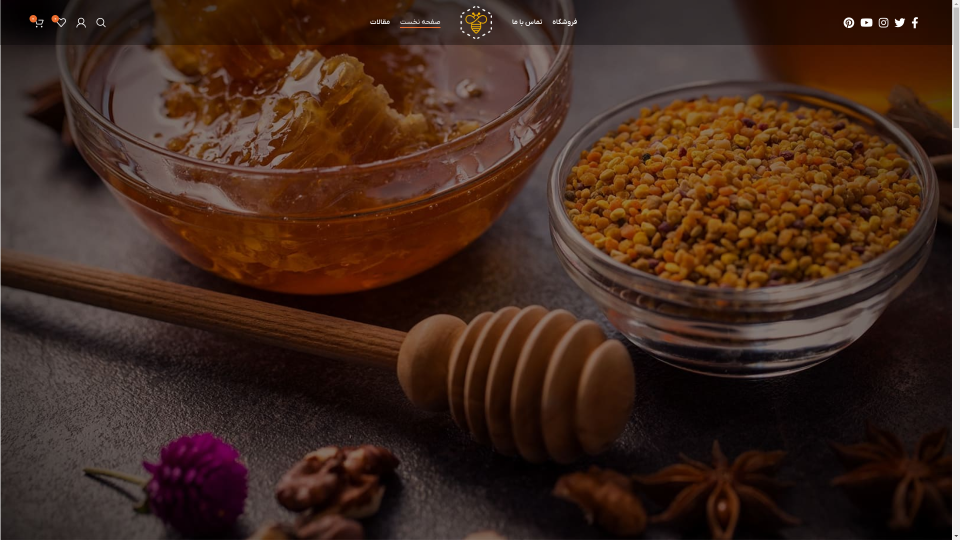 website screenshot of https://tnk-avan.ir/