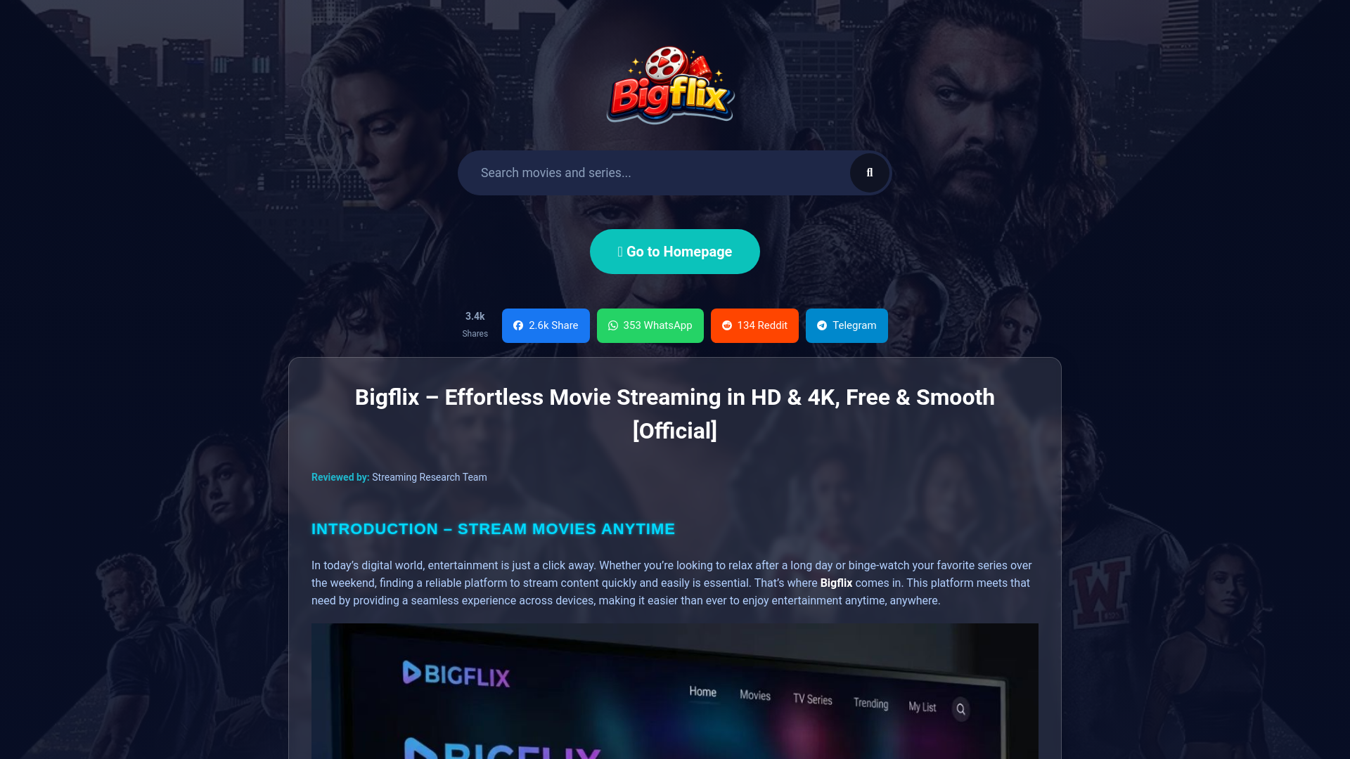 website screenshot of https://bigflix.vu/