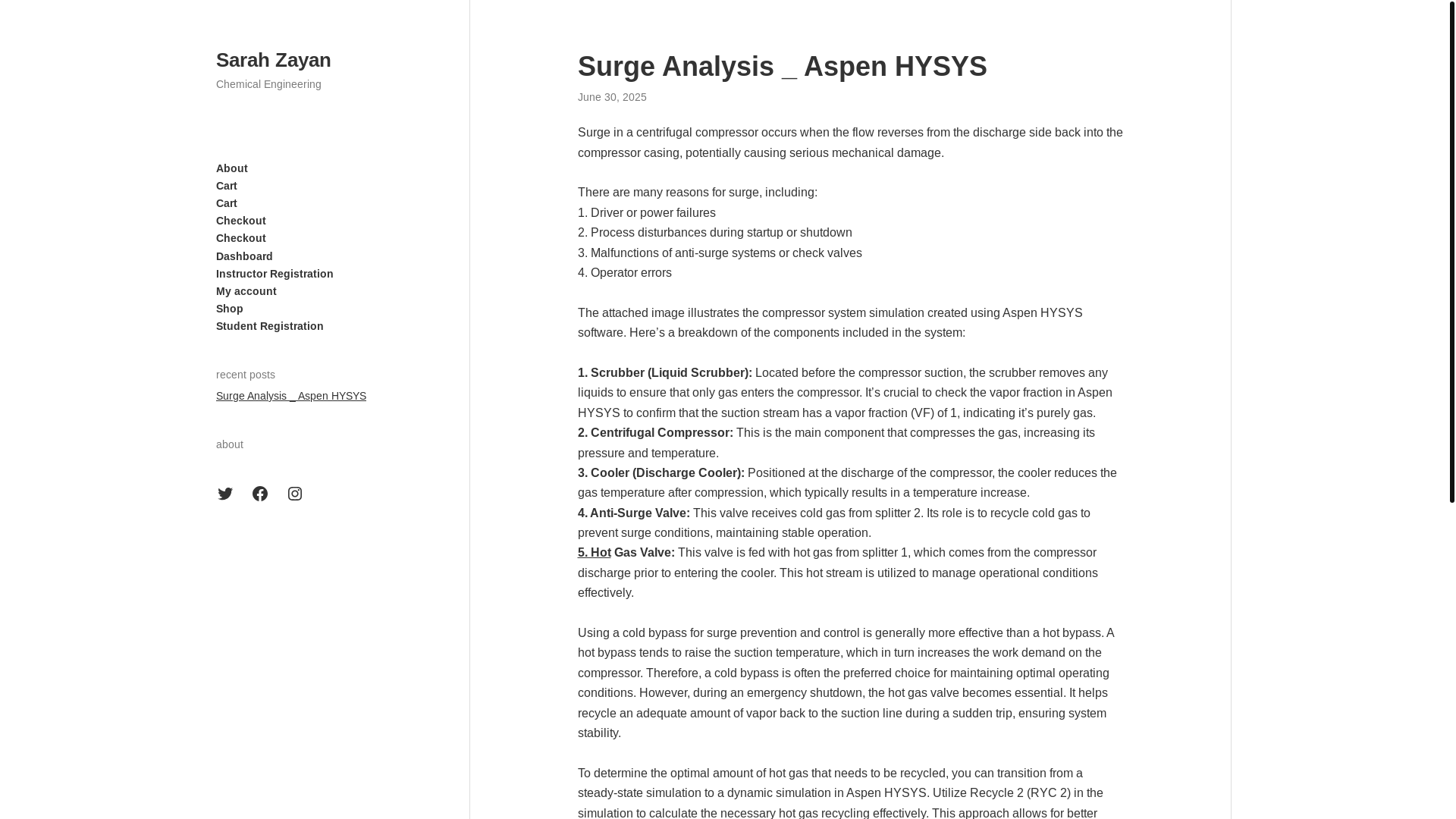 website screenshot of https://sarahzayan.com/