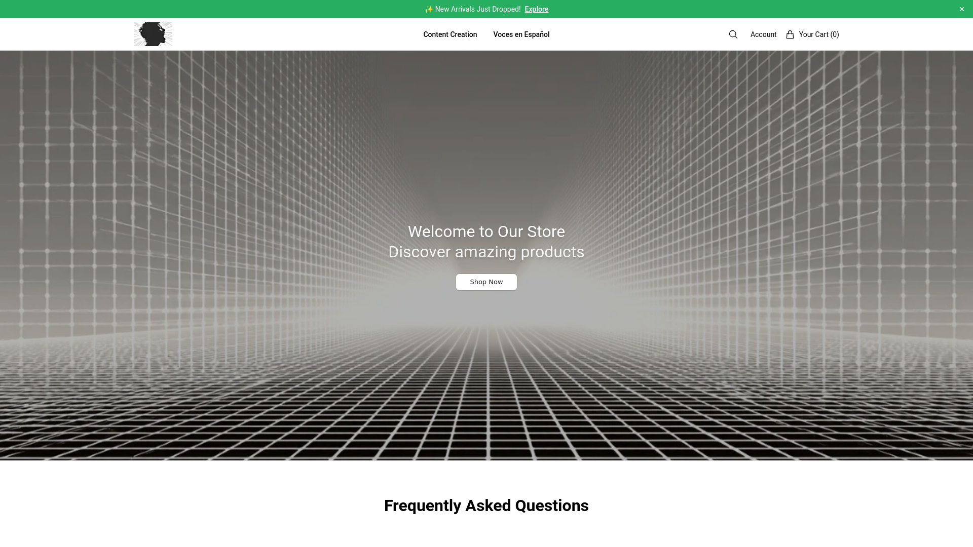 website screenshot of https://voicesdirectorytech.shop/