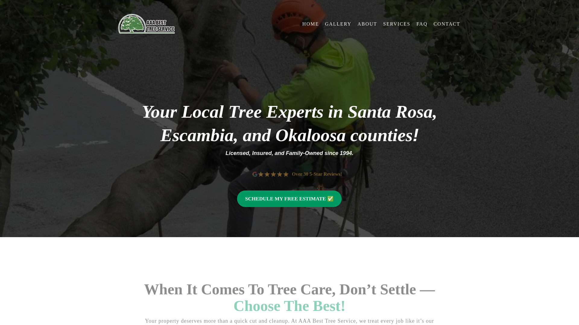 website screenshot of https://aaabesttree.com