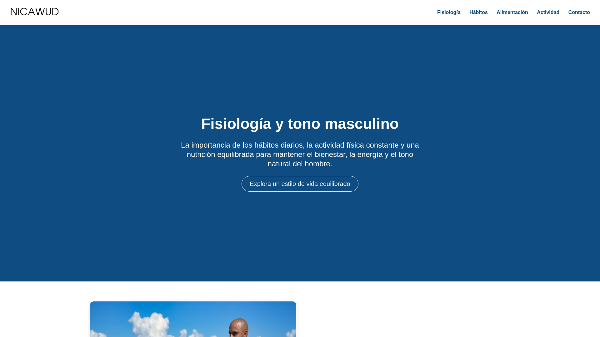 website screenshot of https://nicawud.icu/