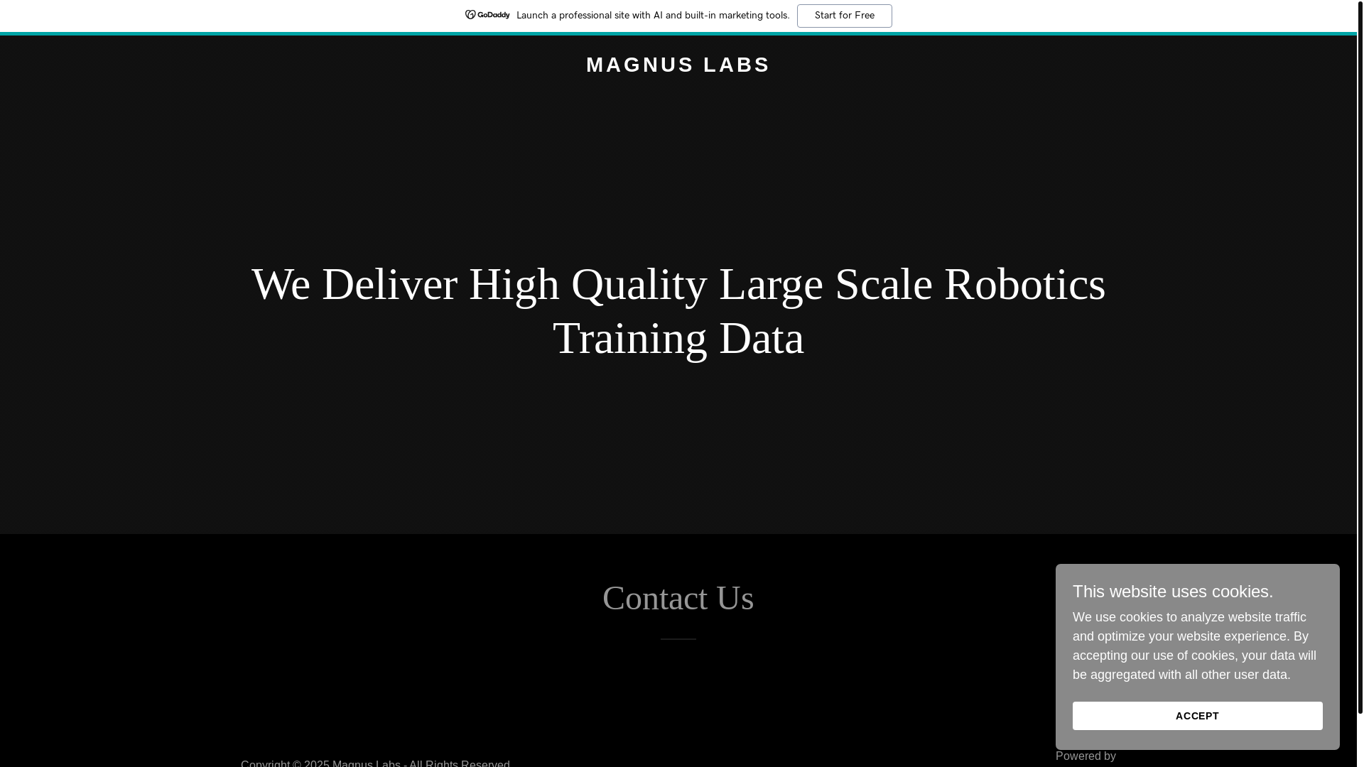 website screenshot of https://magnuslabs.ai/