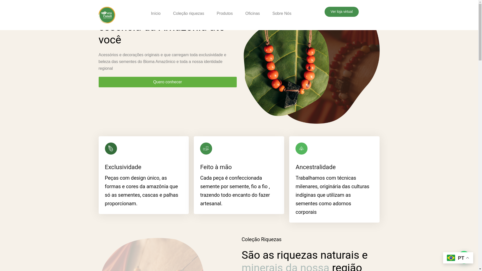 website screenshot of https://ecocanaa.com.br/
