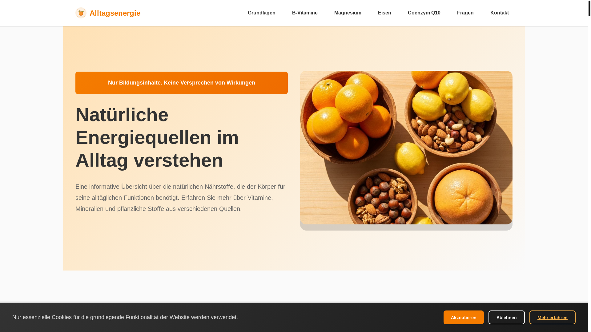 website screenshot of https://alltagsenergie.info/