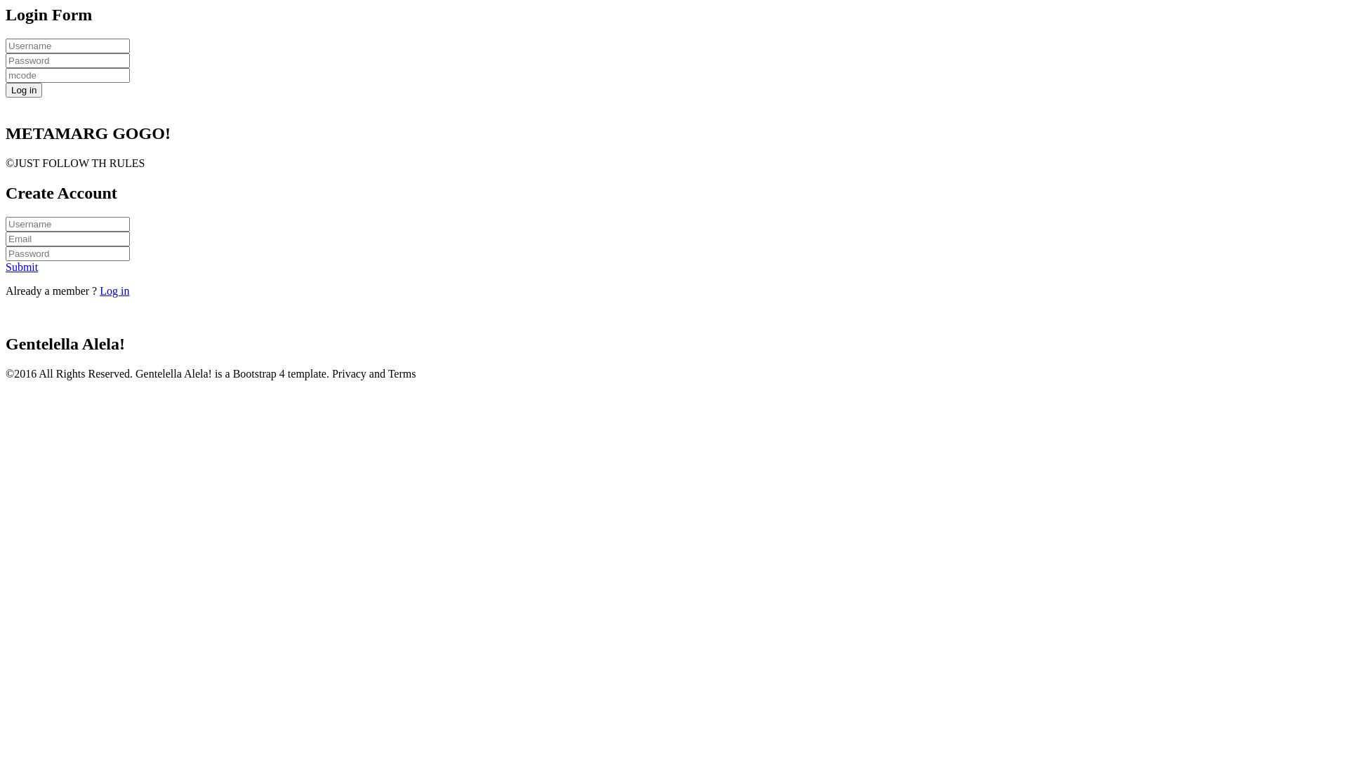 website screenshot of https://metamarg.space/