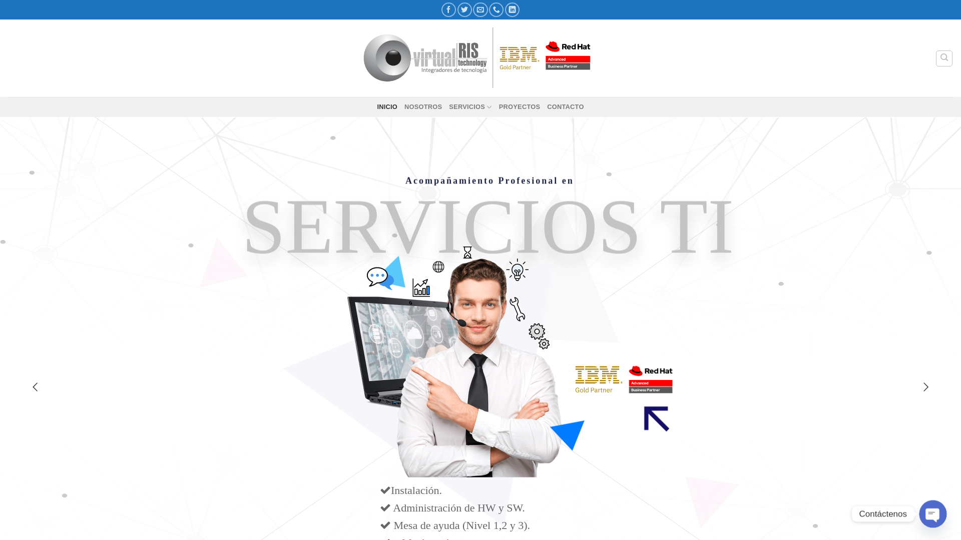 website screenshot of https://virtualris.co/