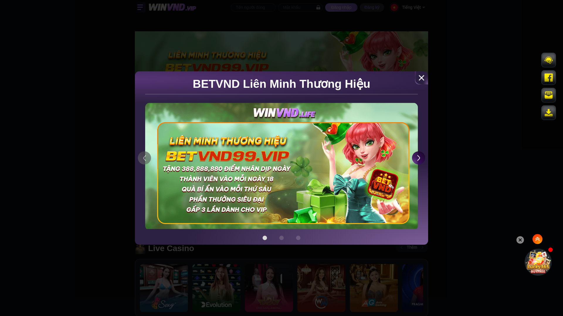 website screenshot of https://win1a9vnd.com/