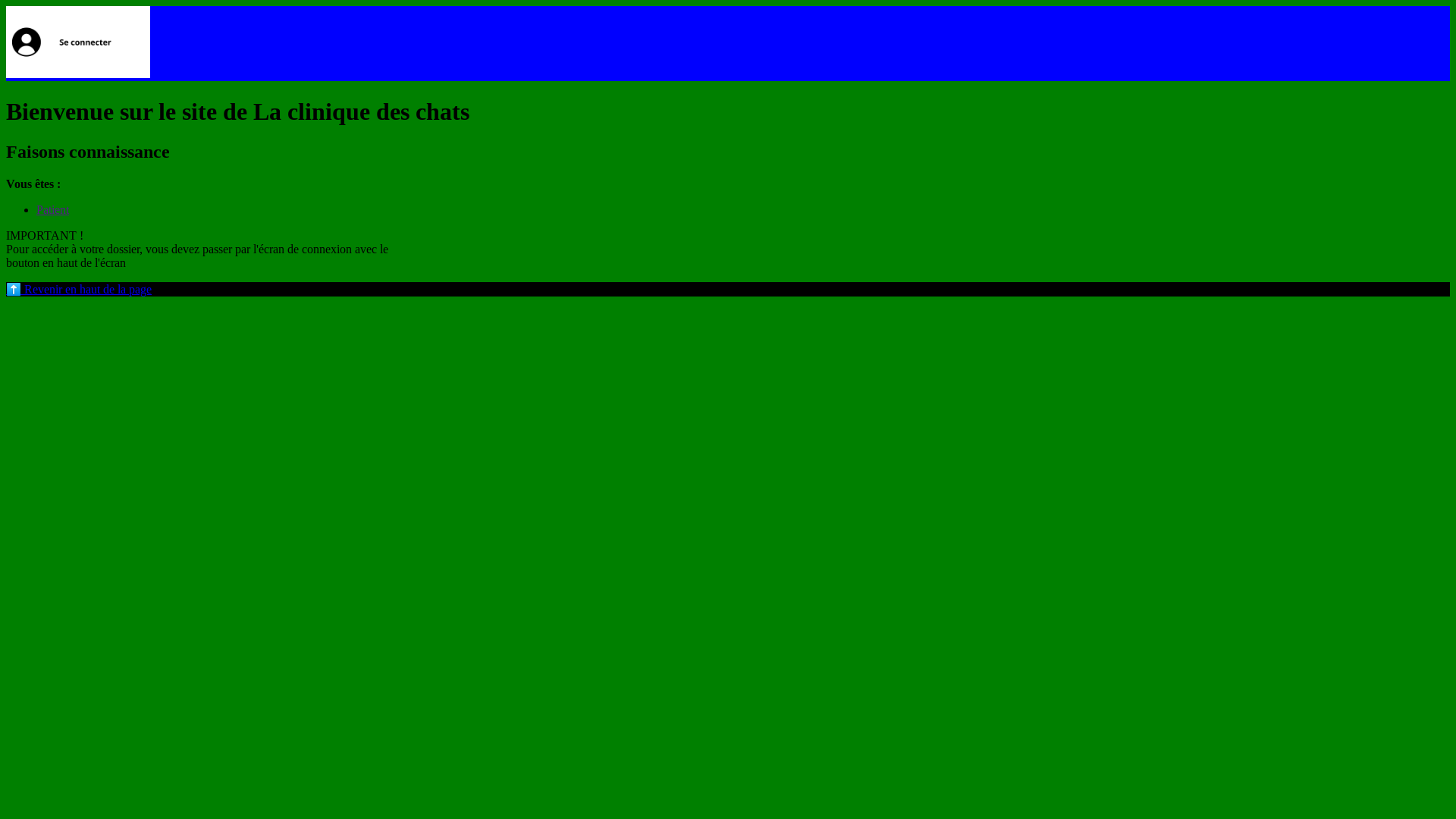 website screenshot of https://la-clinique-des-chats.pages.dev/