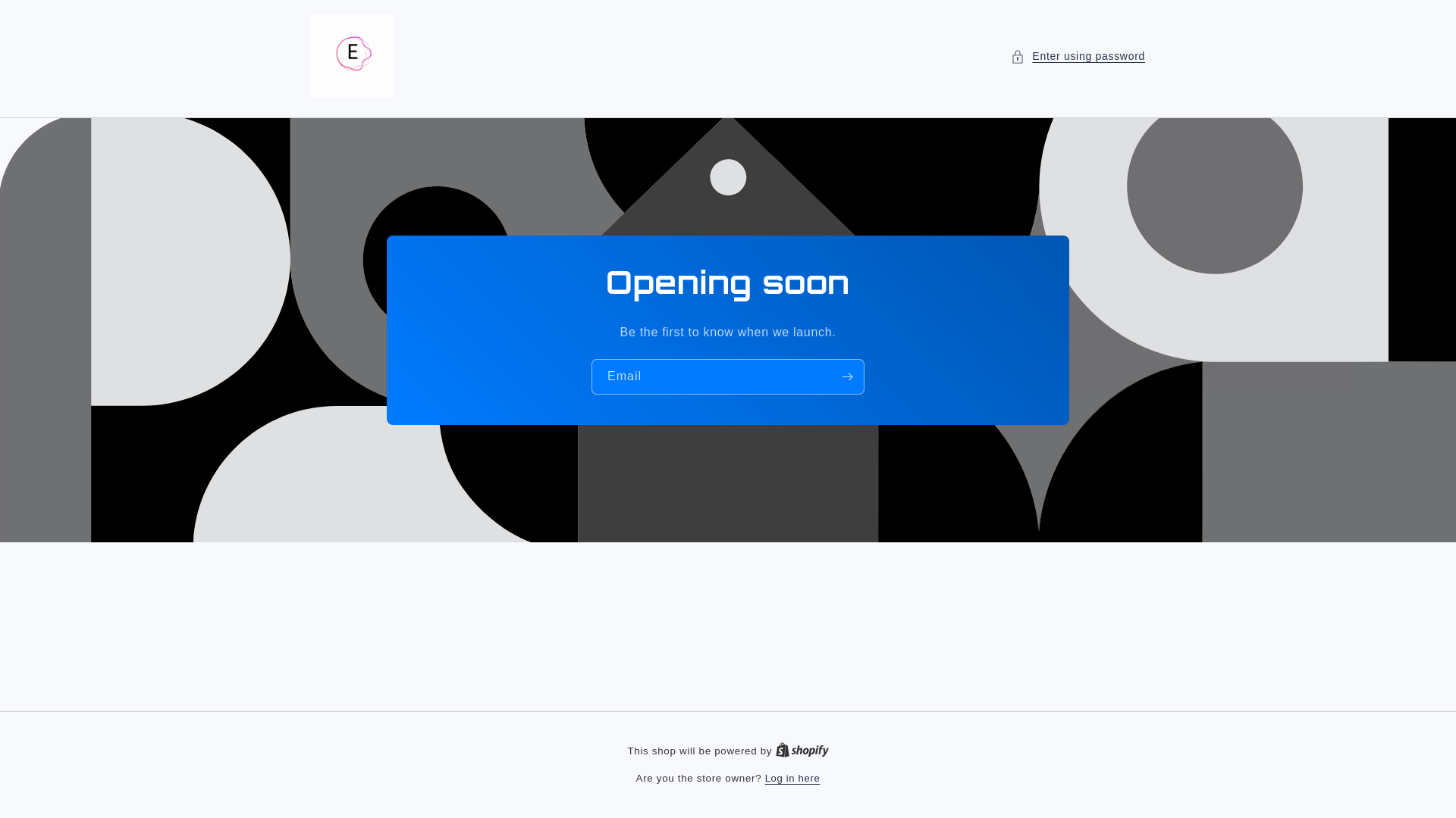 website screenshot of https://electracharge.store/