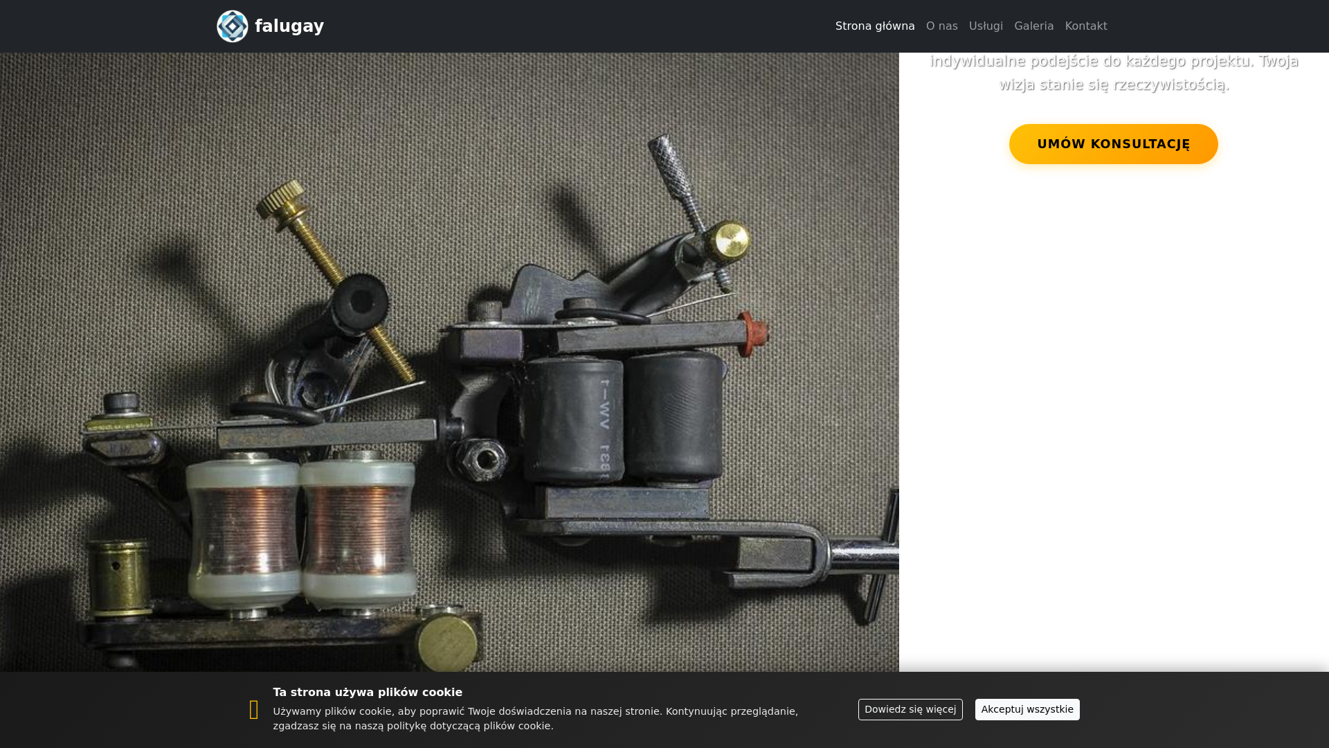website screenshot of https://falugay.com