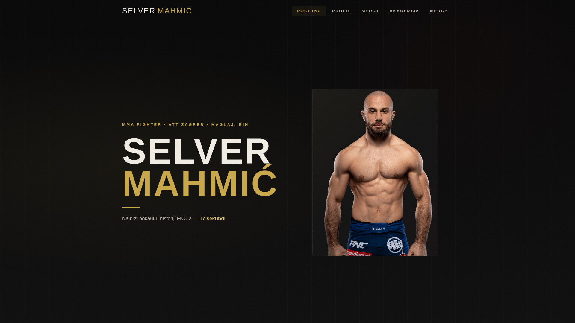 website screenshot of https://selvermahmic.com/
