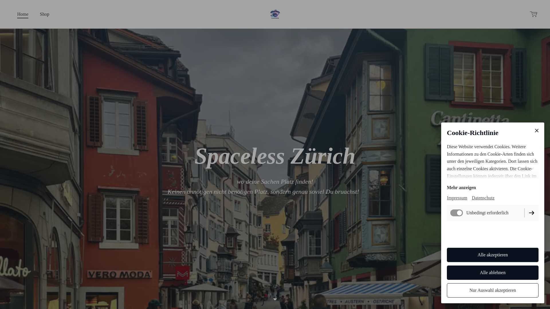 website screenshot of https://spacelesszuerich.ch/