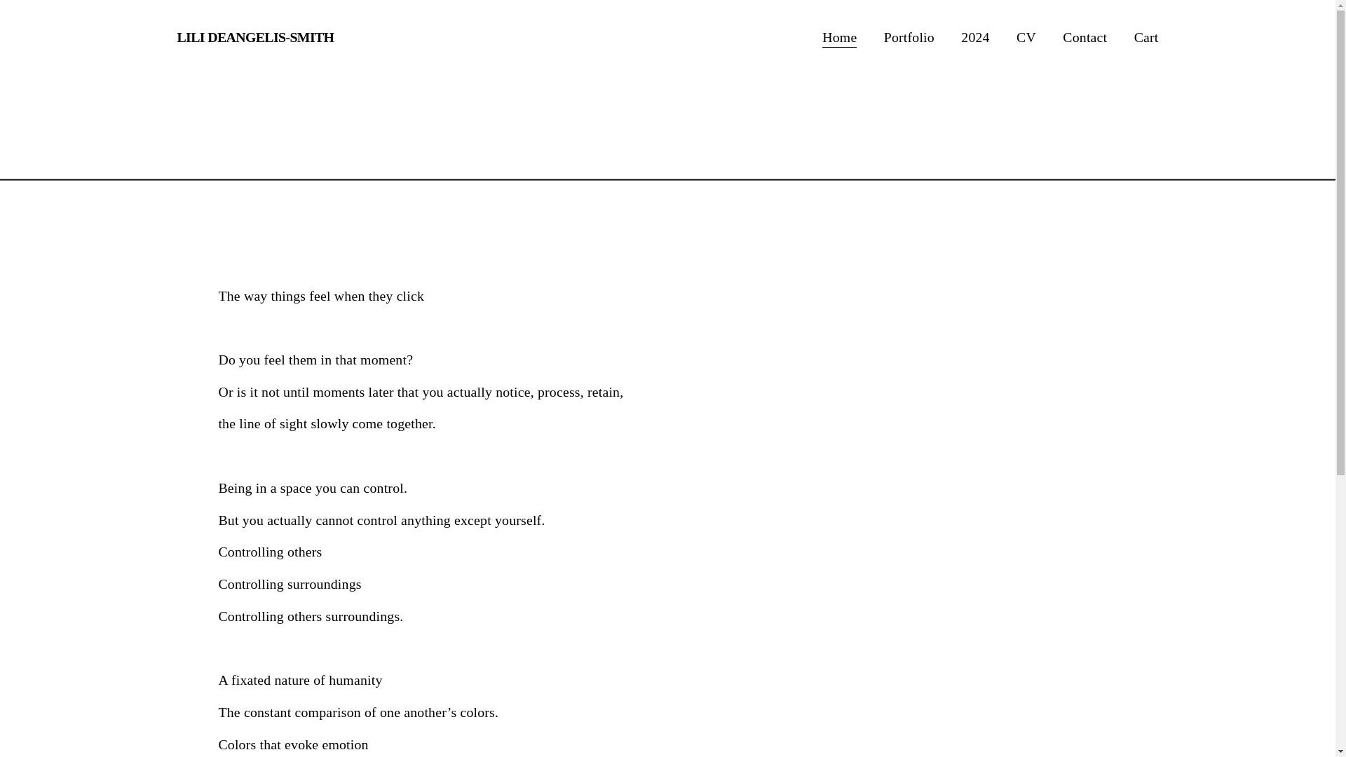 website screenshot of https://lilideangelis-smith.com/
