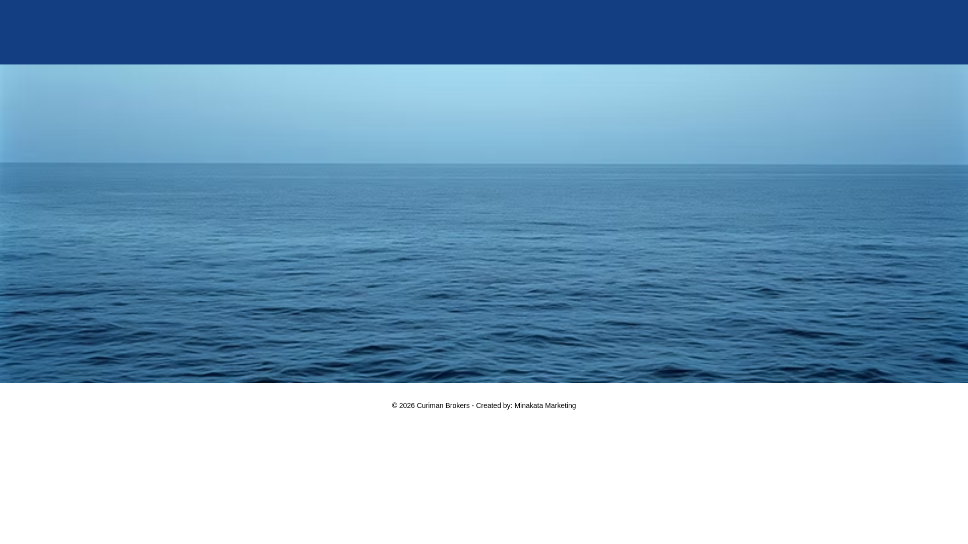 website screenshot of https://curimanbrokersgroupca.com/