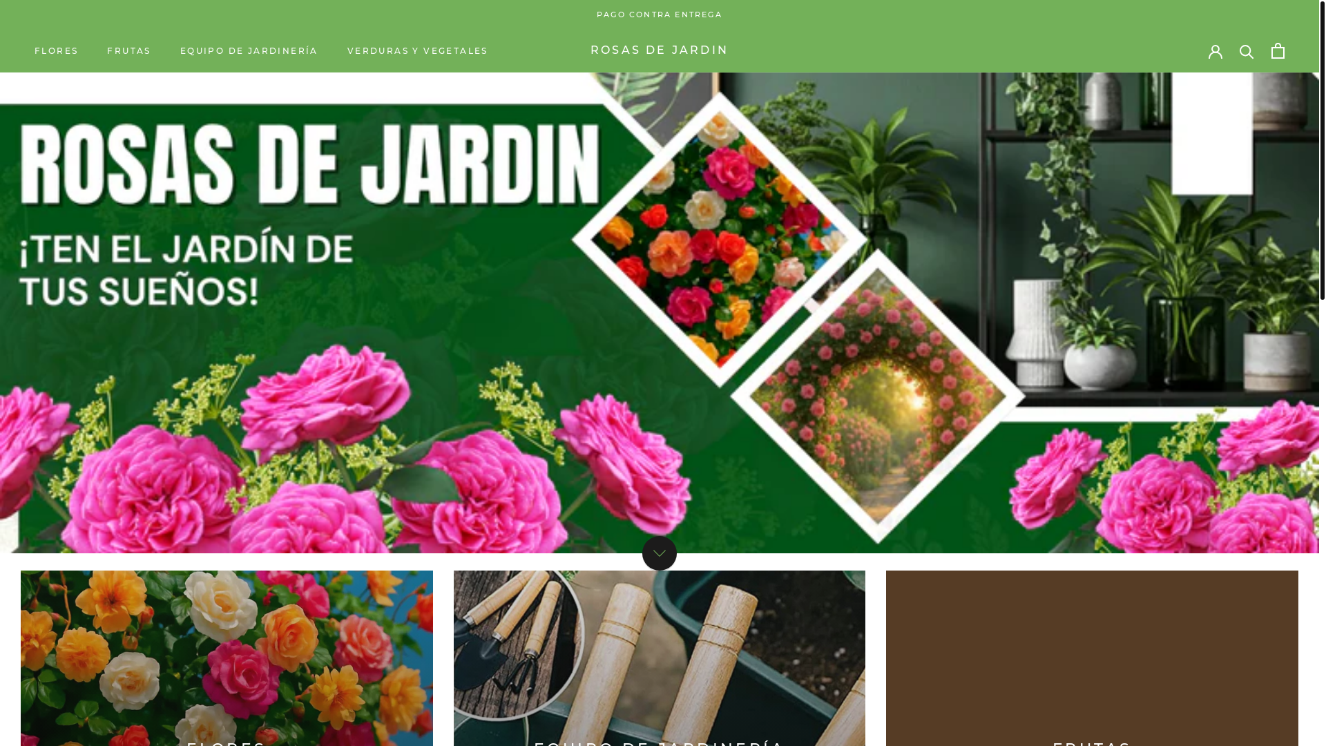 website screenshot of https://rosasdelparaiso.online/