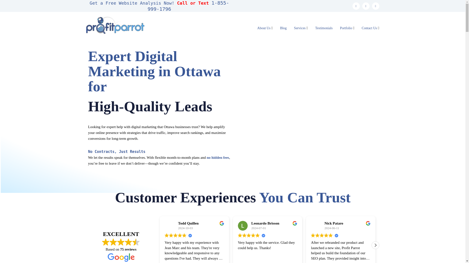 website screenshot of https://profitparrotgo.com/