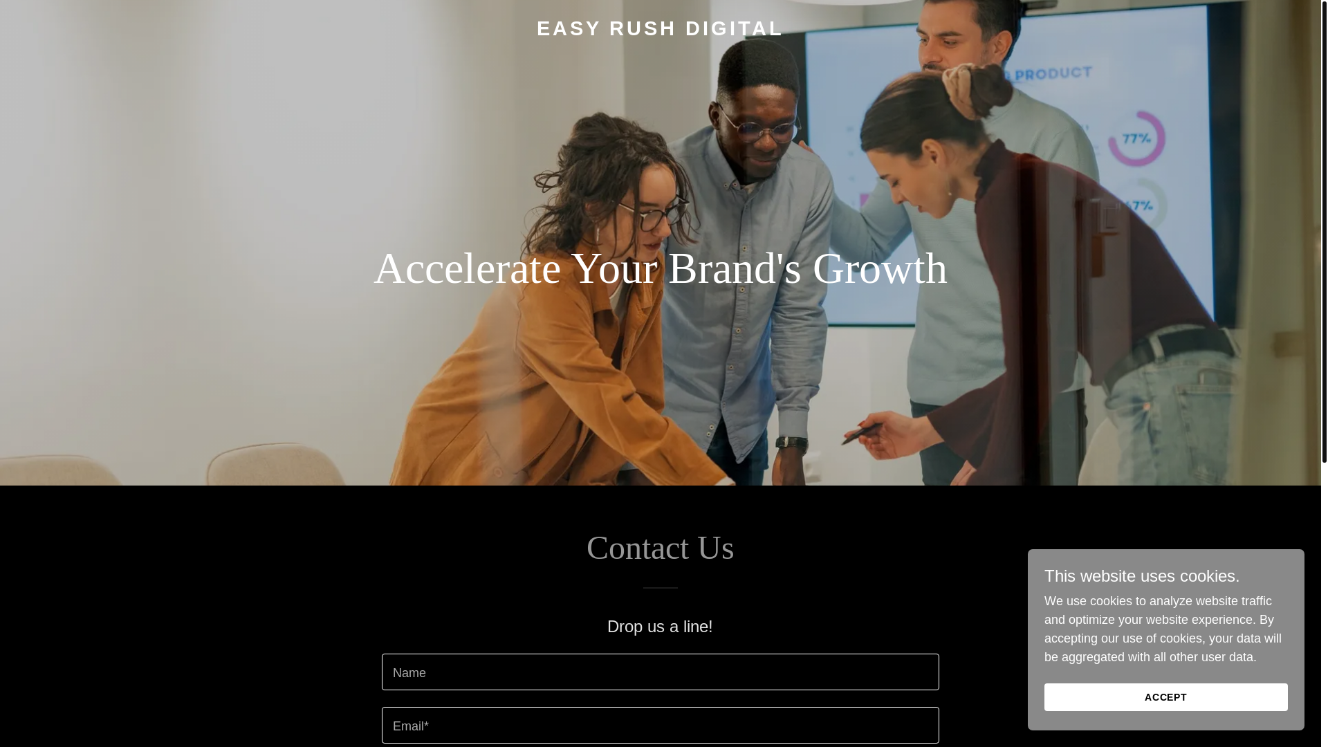 website screenshot of https://easyrushdigital.com/