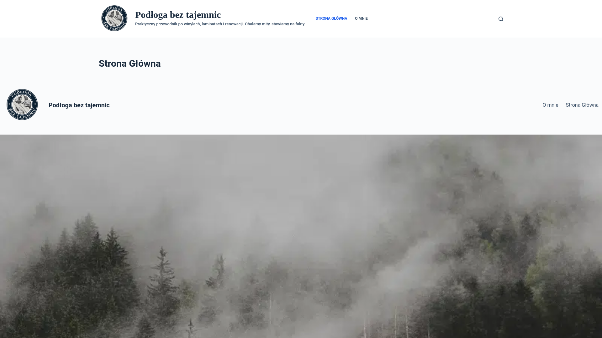 website screenshot of https://podlogabeztajemnic.pl