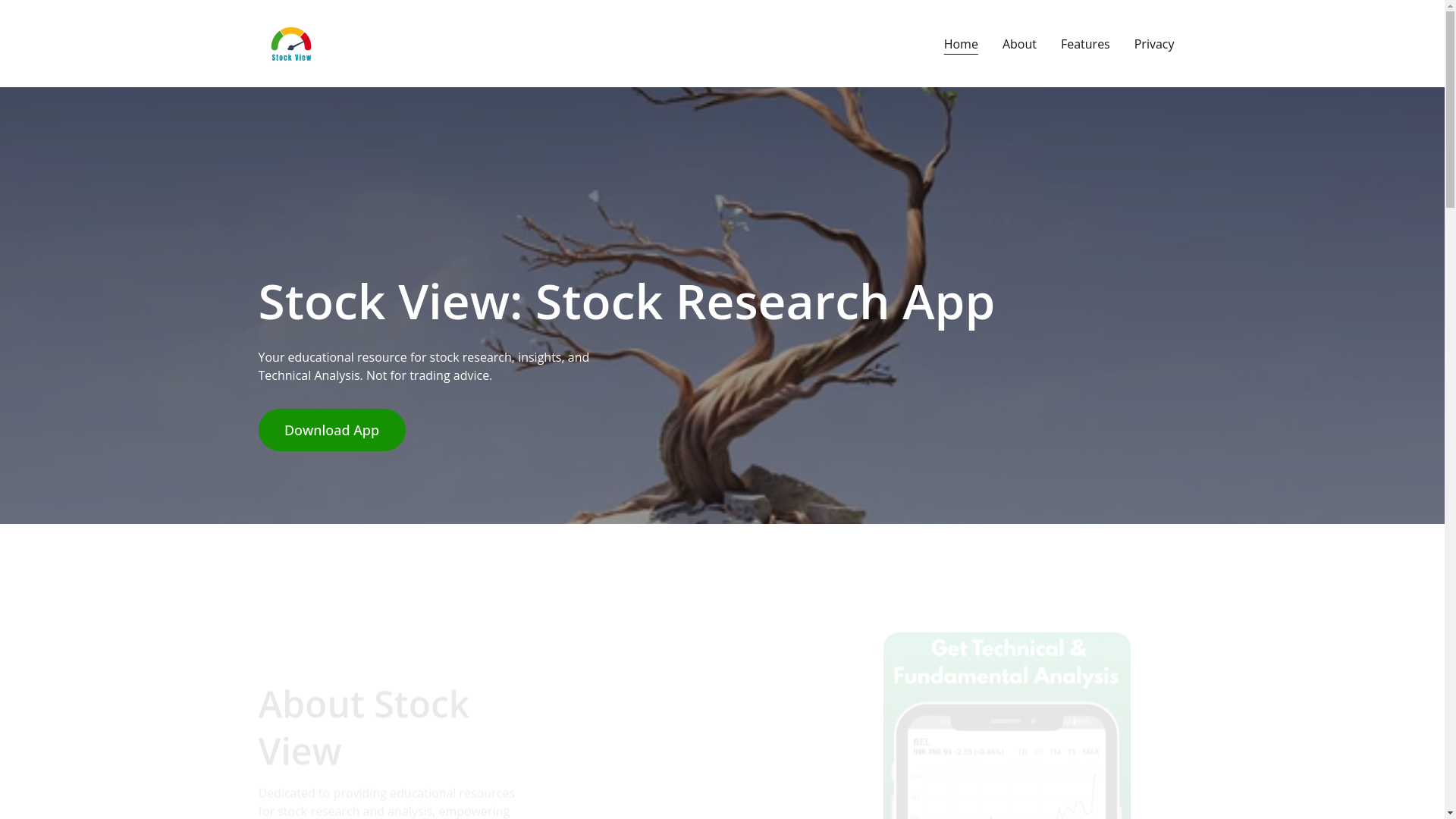 website screenshot of https://stockviews.online/