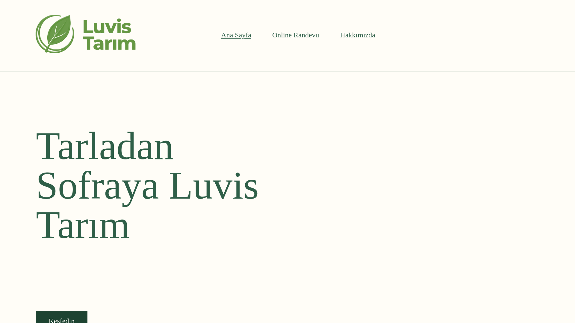 website screenshot of https://luvistarim.com/