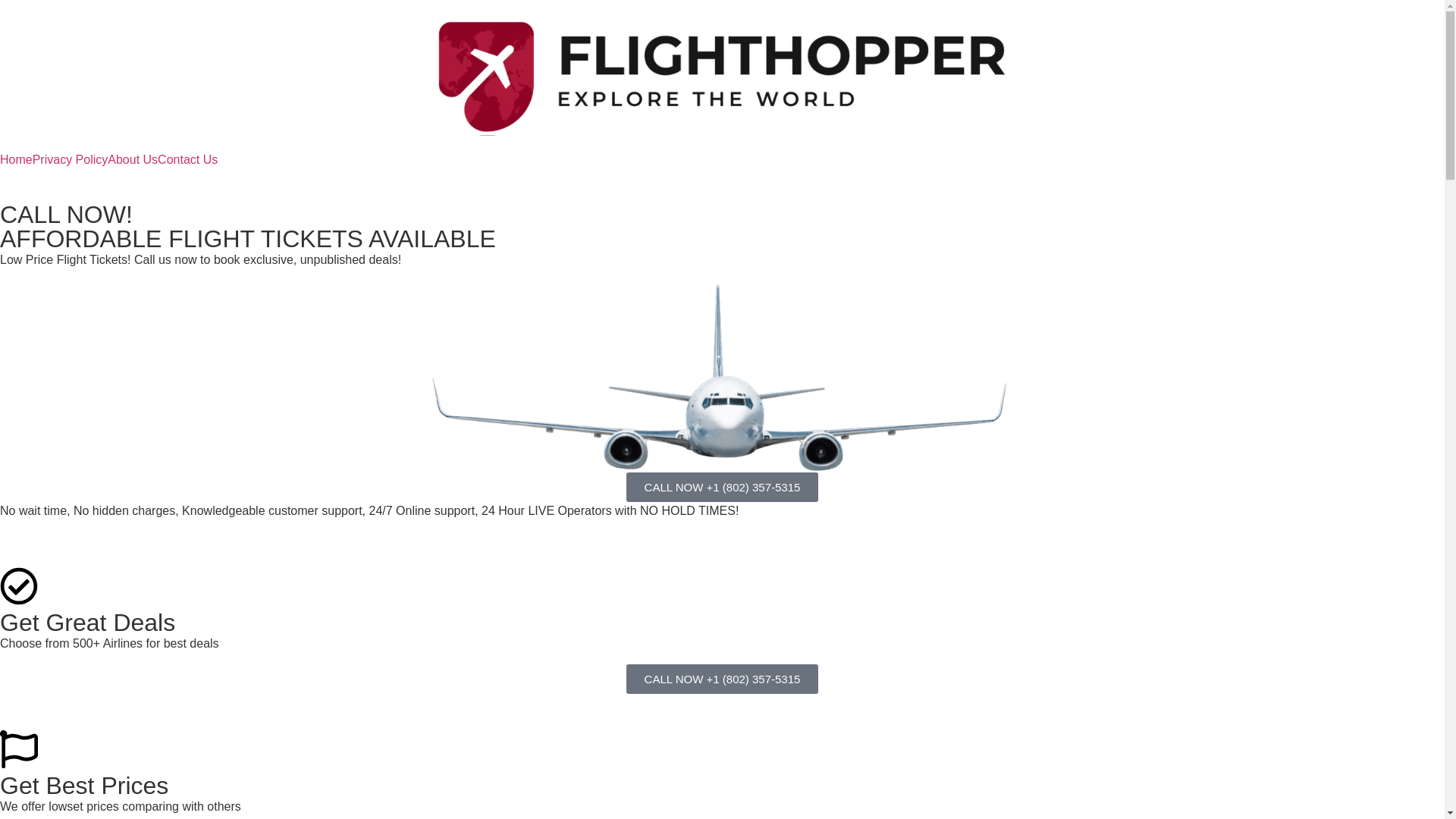 website screenshot of https://skytickethub.site/