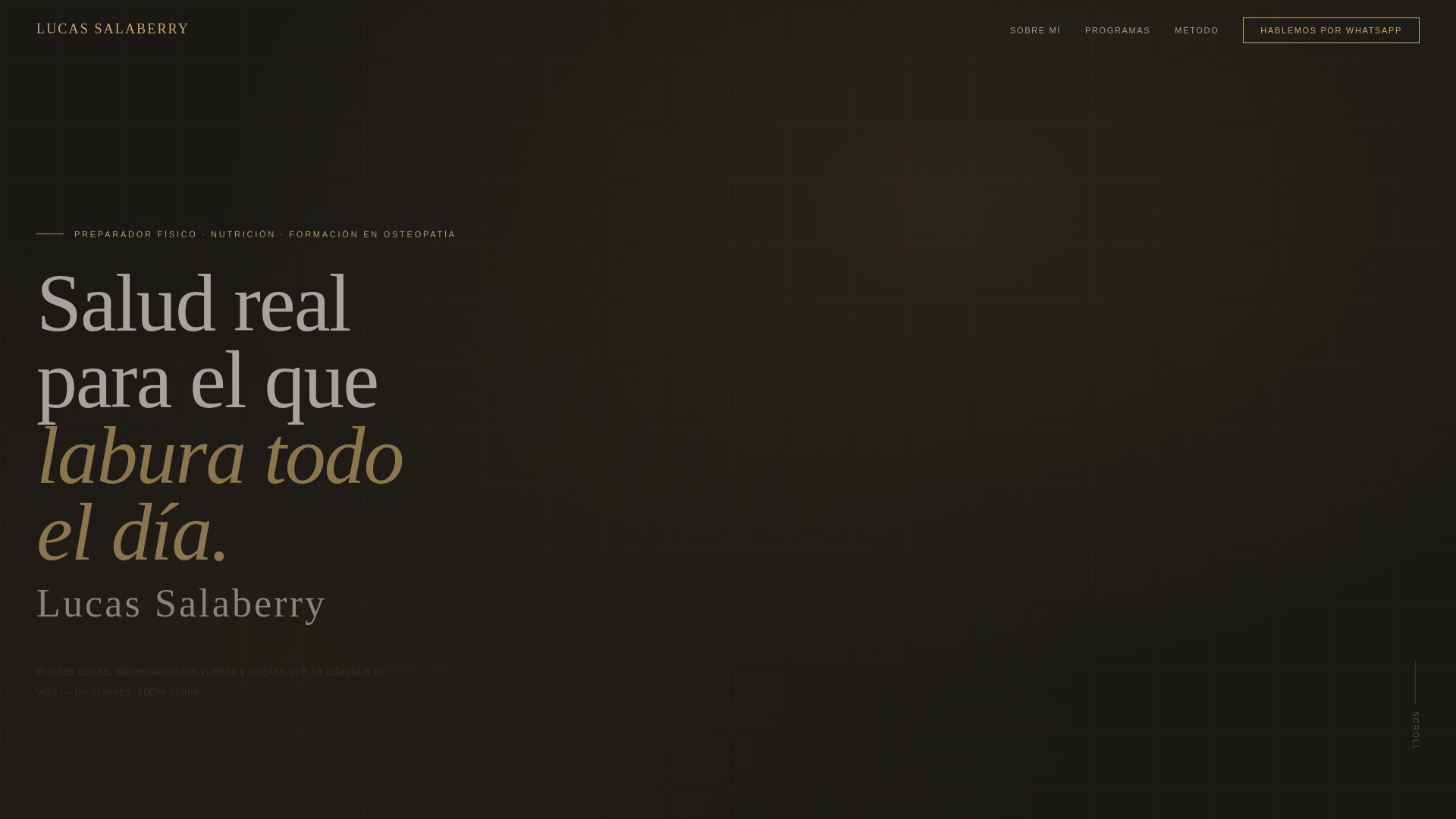 website screenshot of https://lucasalaberry.com/