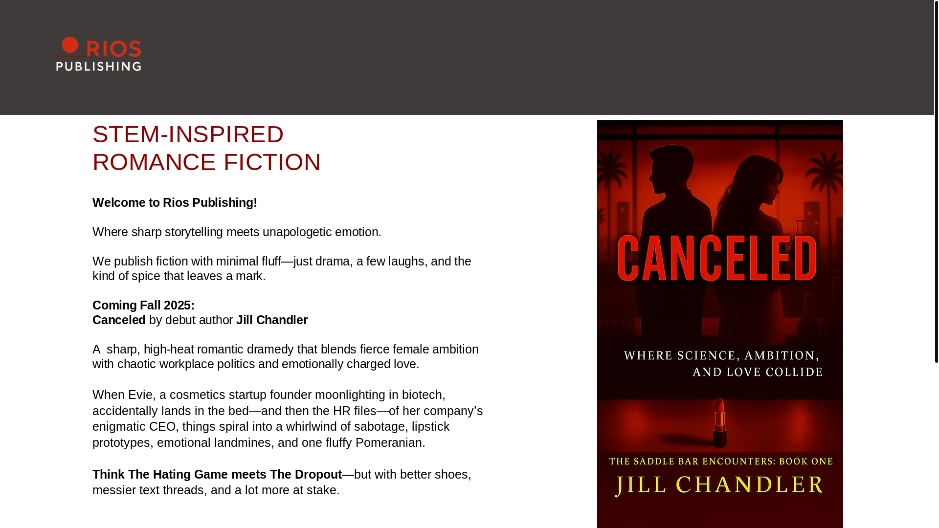 website screenshot of https://riospublishing.com/