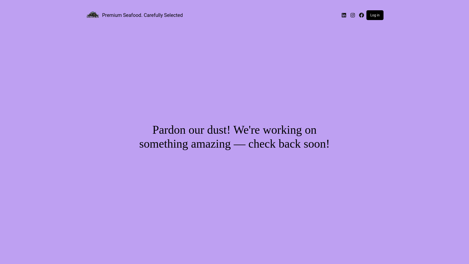 website screenshot of https://saltnseakitchen.online/