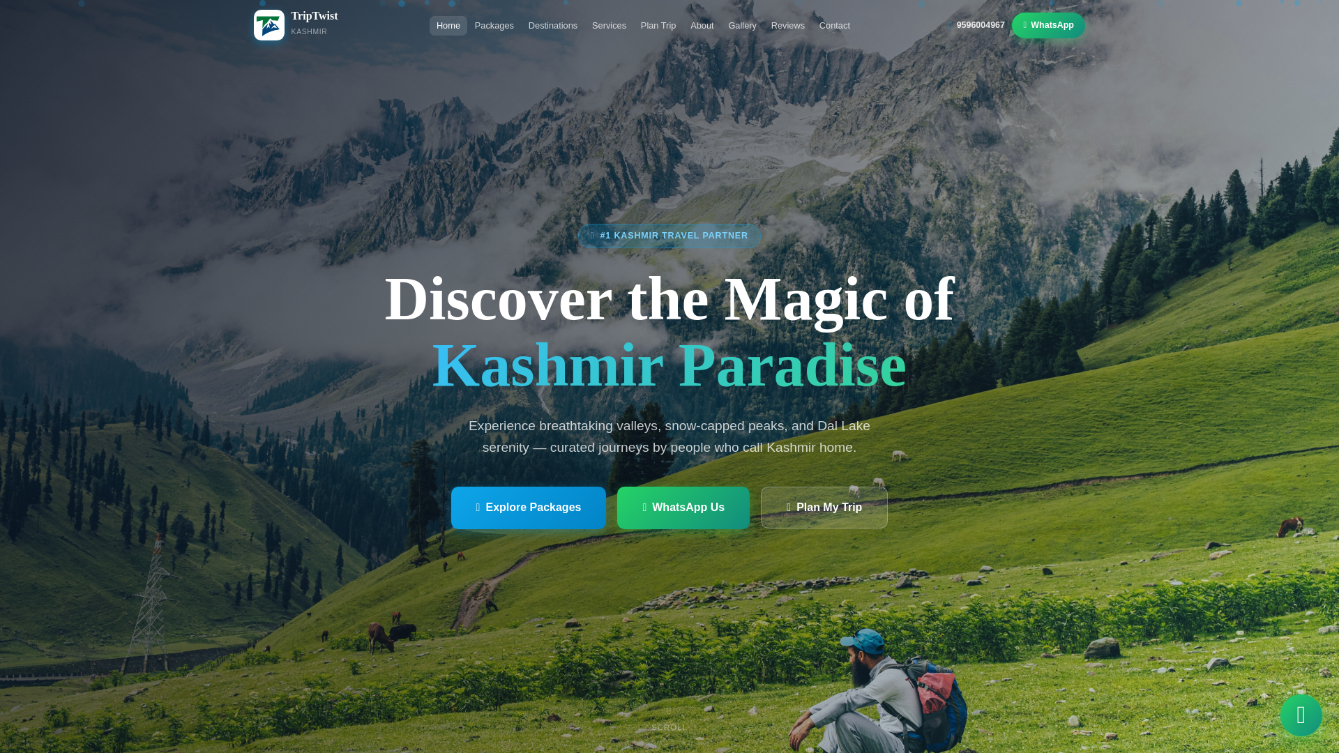 website screenshot of https://triptwistkashmir.in