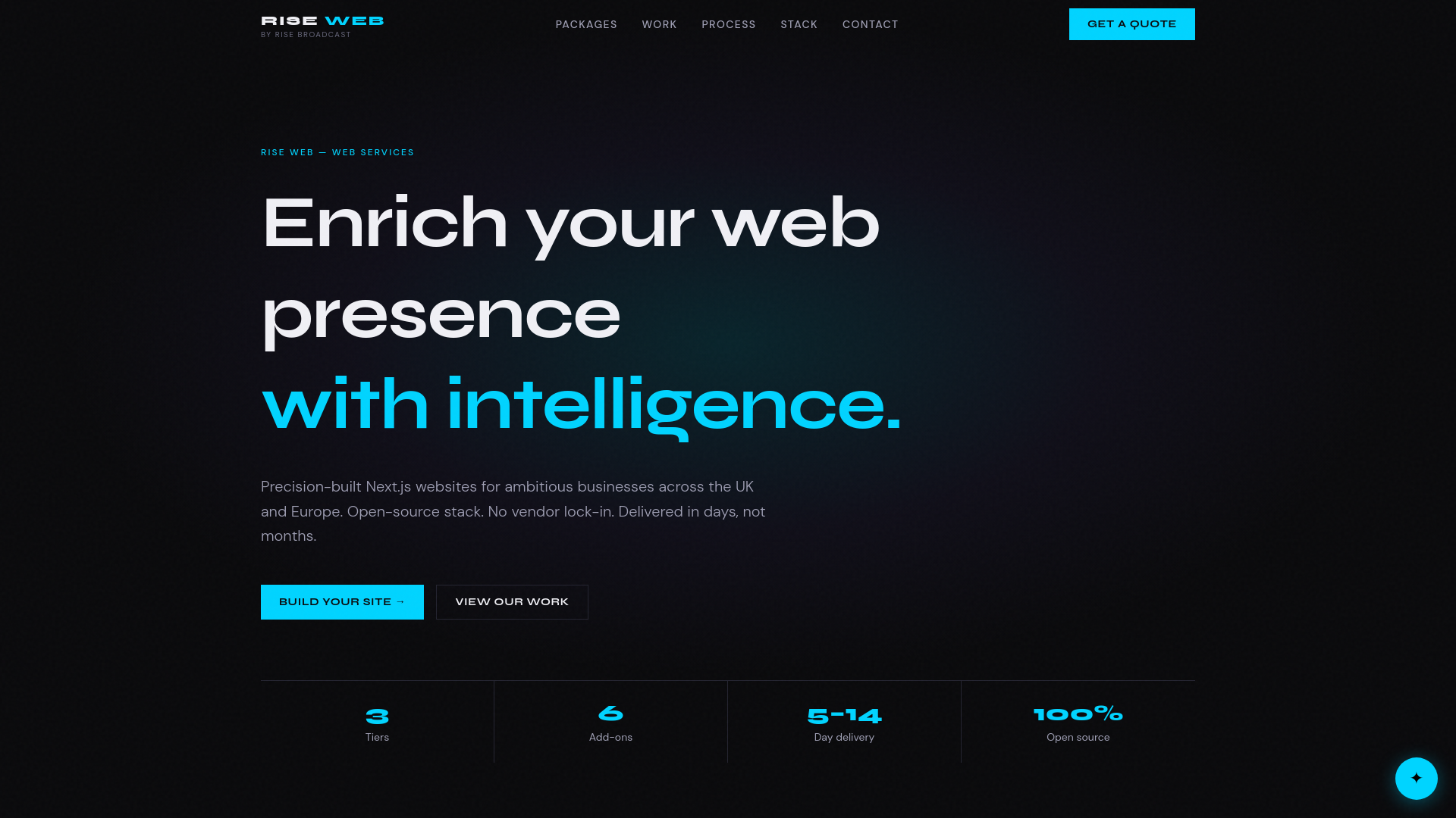 website screenshot of https://weriseweb.com/