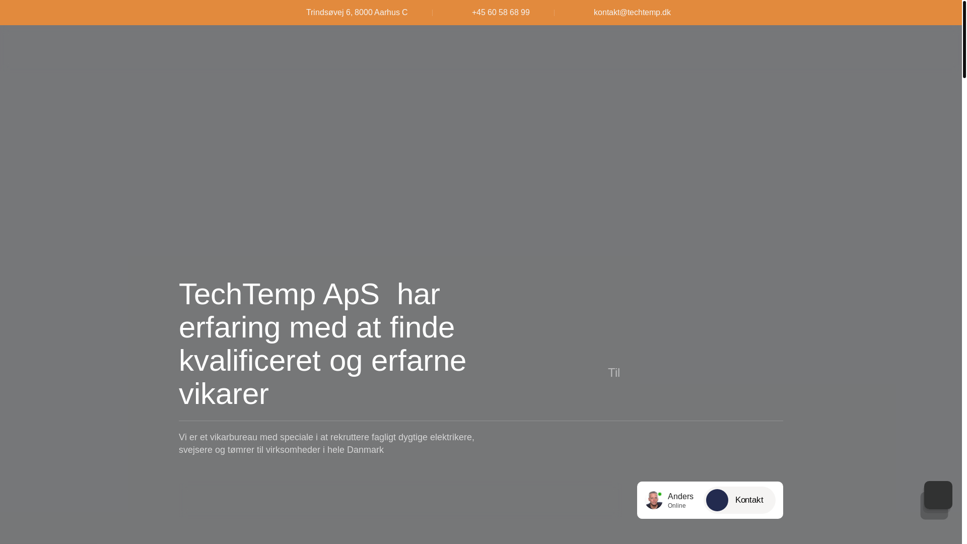 website screenshot of https://techtemp.dk/
