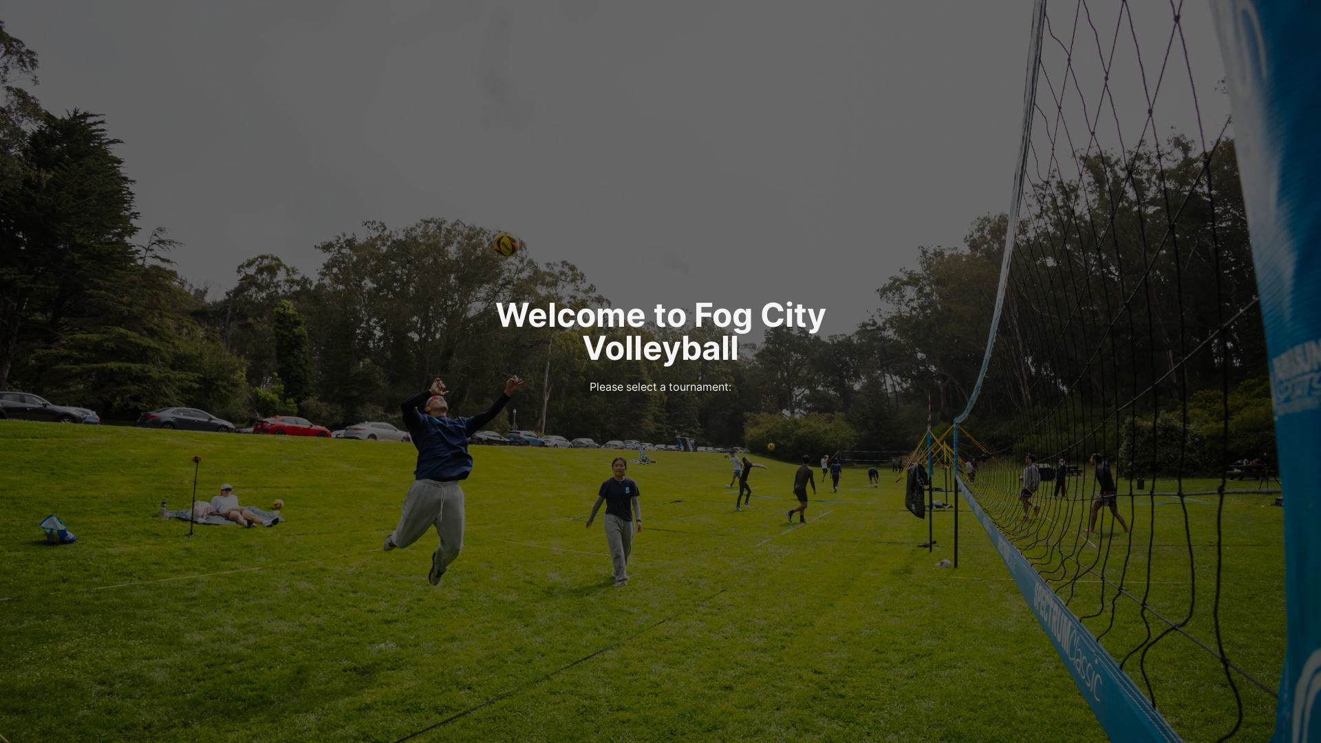 website screenshot of https://fogcityvb.com/