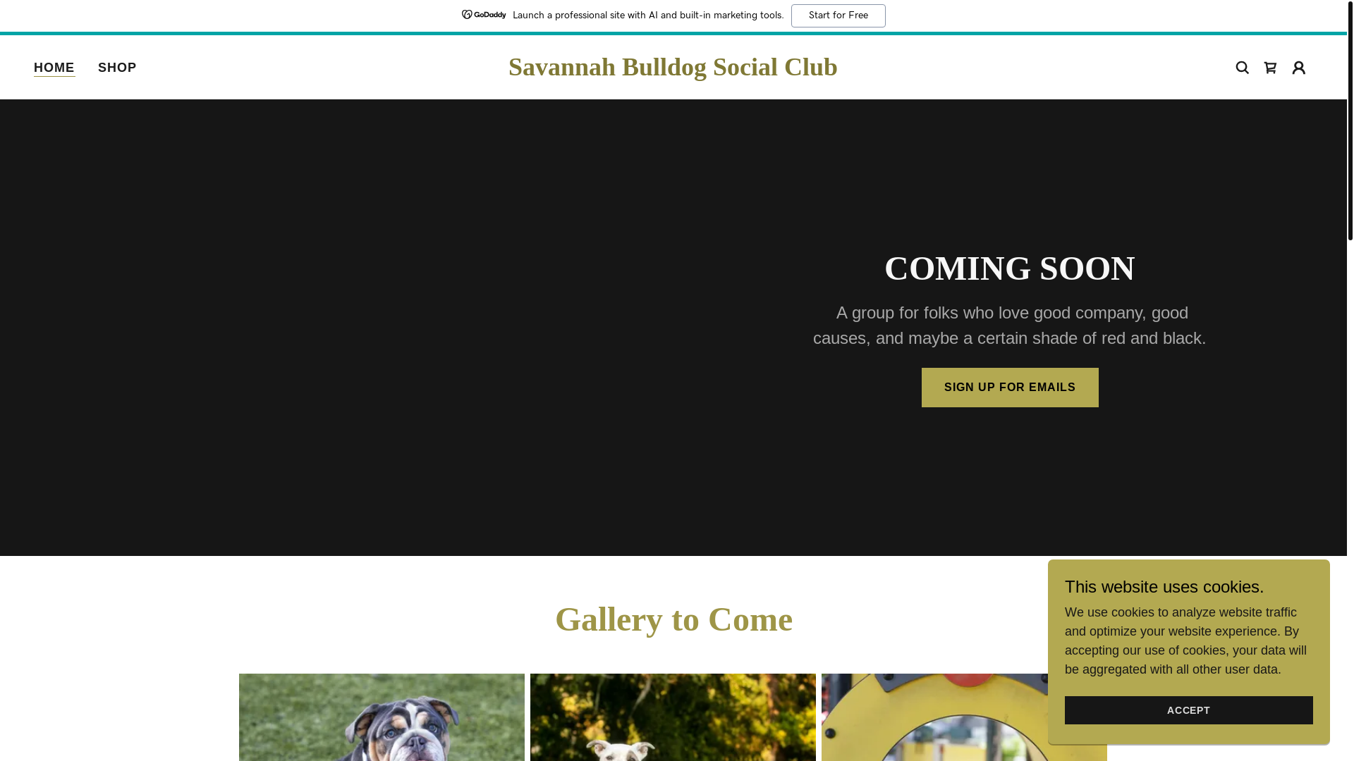 website screenshot of https://savannahbulldogs.com/