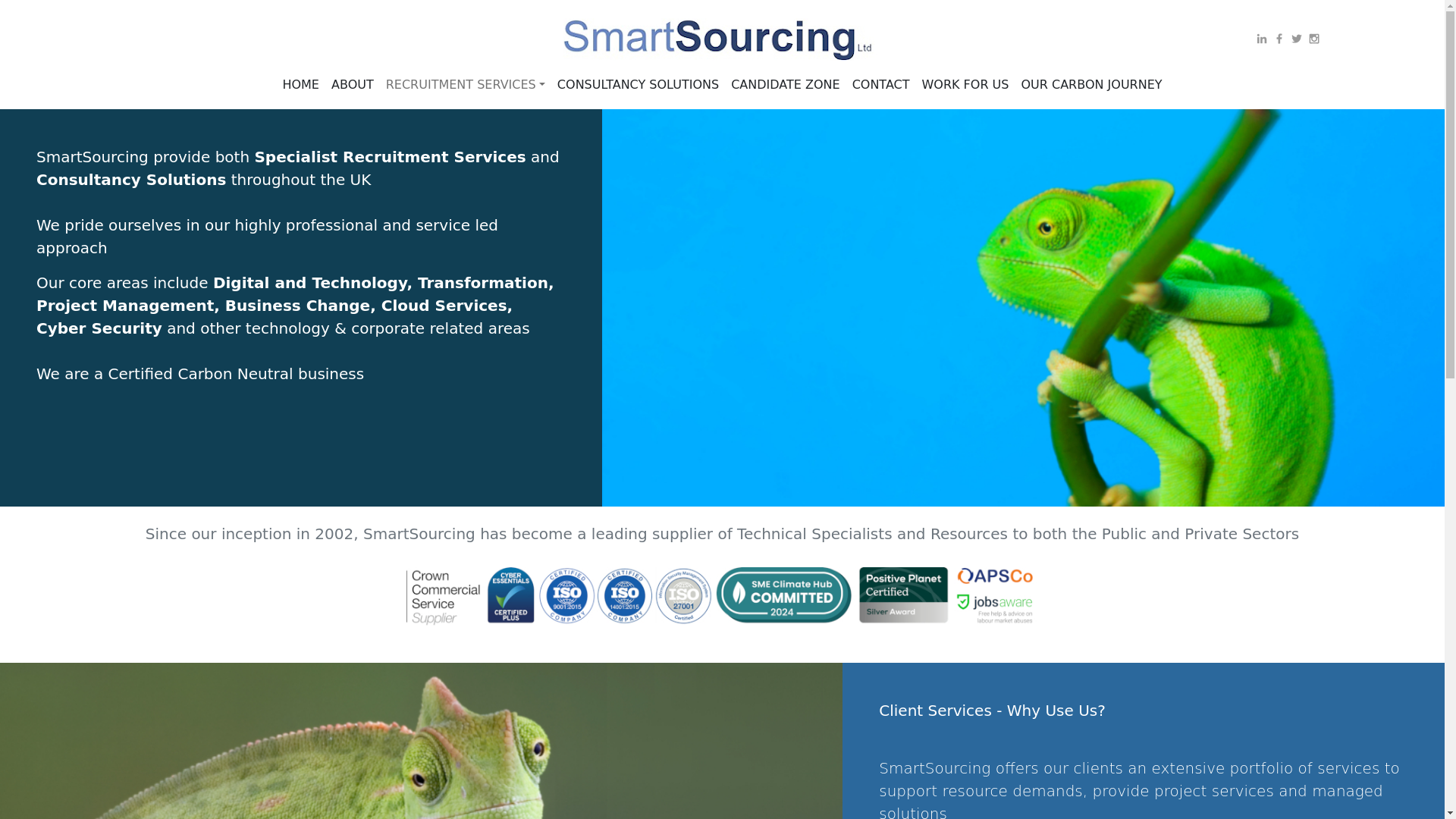 website screenshot of https://www.smartsourcing.co.uk/