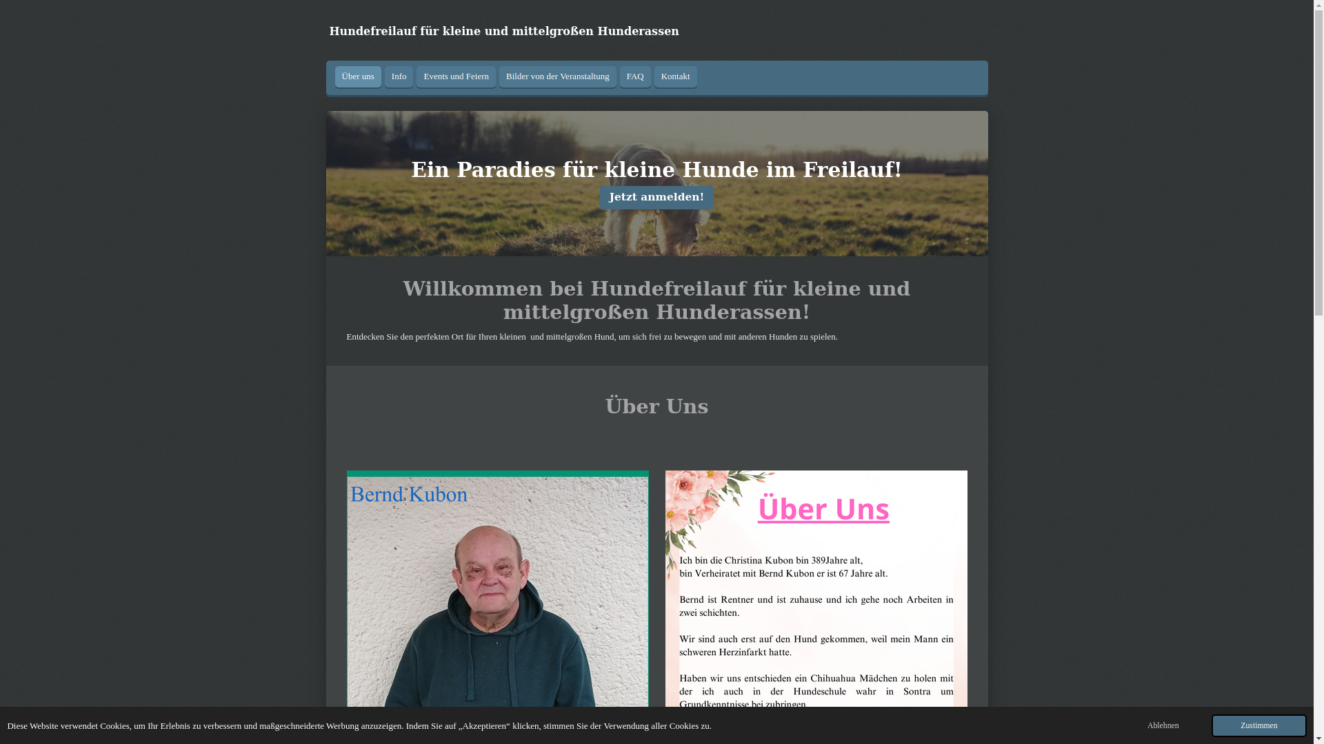 website screenshot of https://hundefreilauffuerkleineundmittelgrossehunderassen.de/