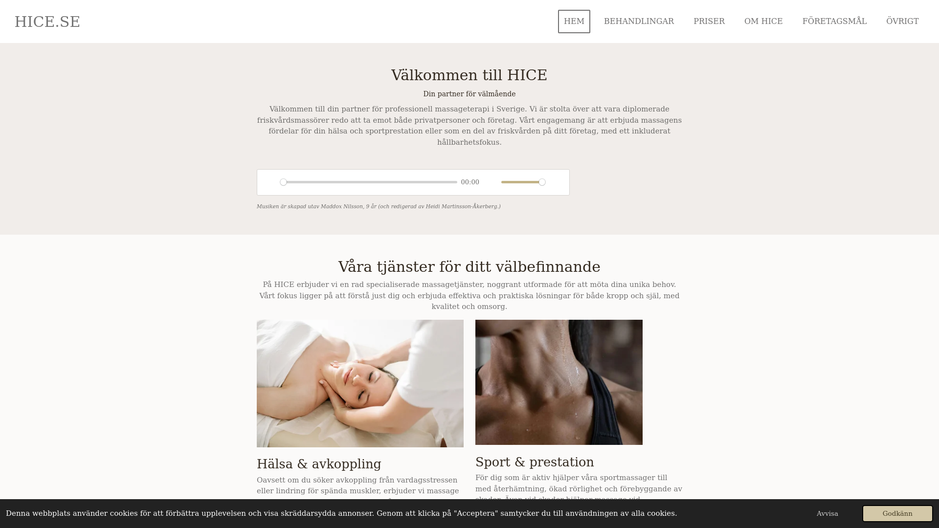 website screenshot of https://hicebusiness.com/