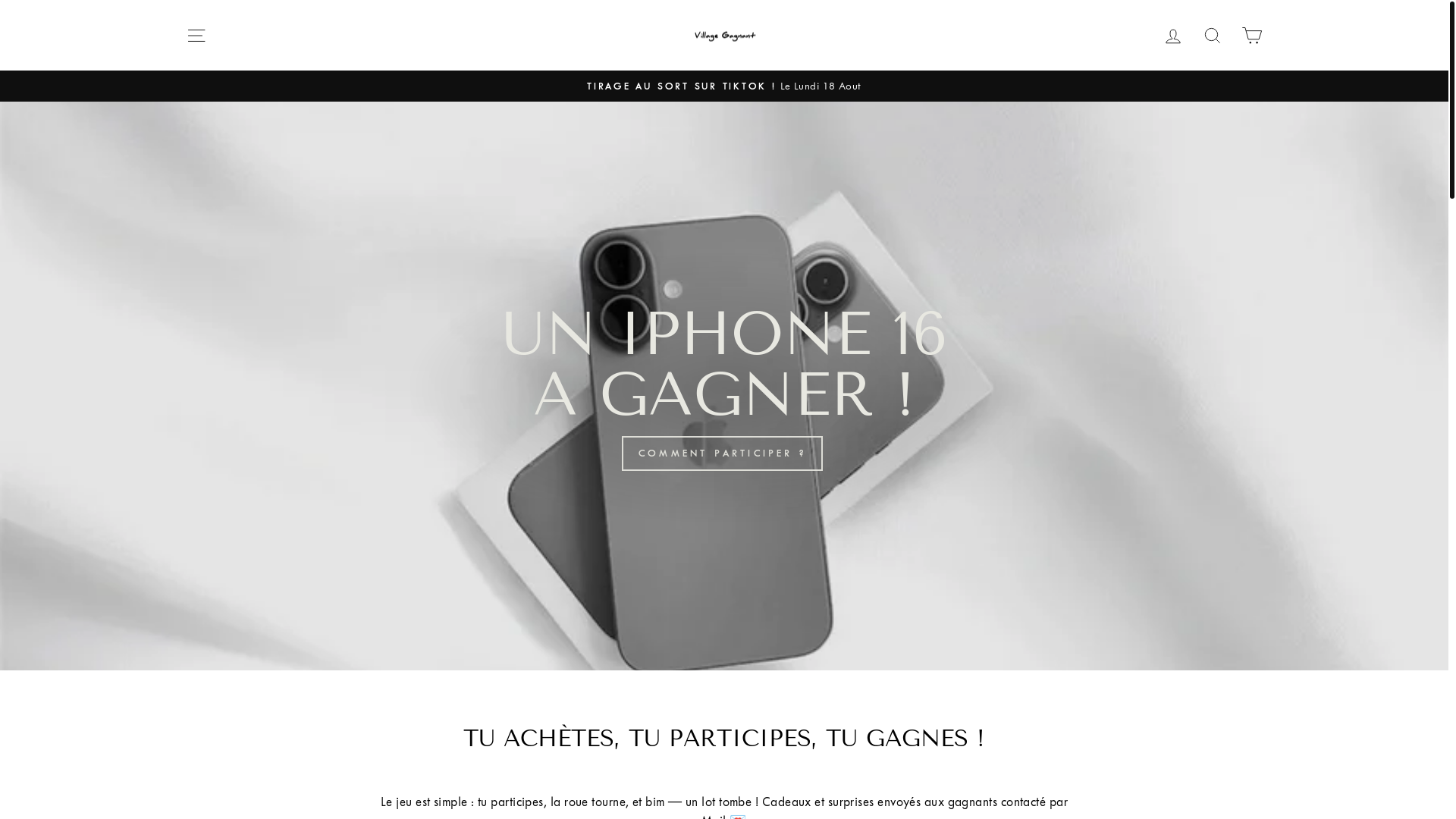 website screenshot of https://villagegagnant.fr/