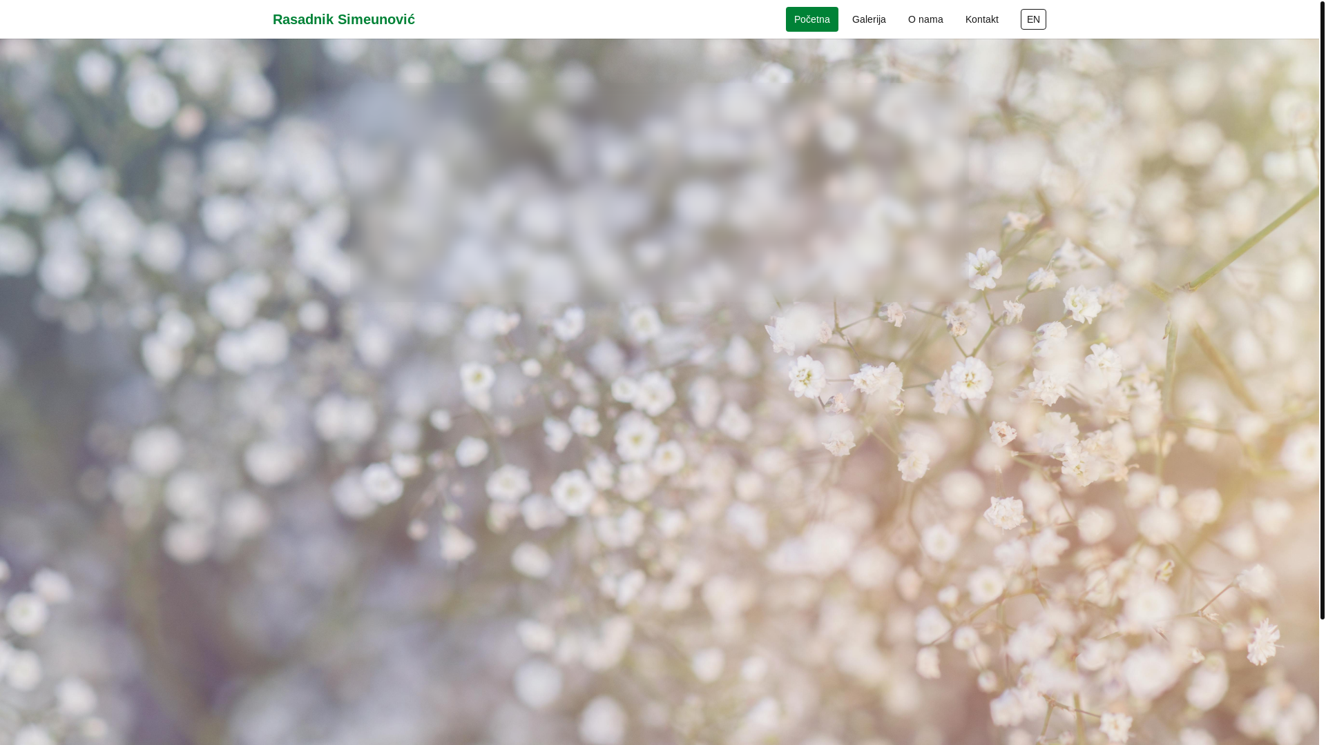 website screenshot of https://cvijecesimeunovic.com/