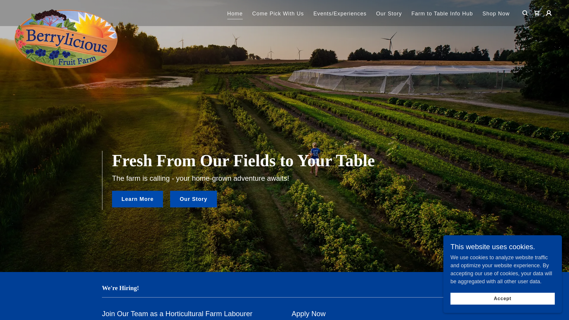 website screenshot of https://berryliciousfruits.net/