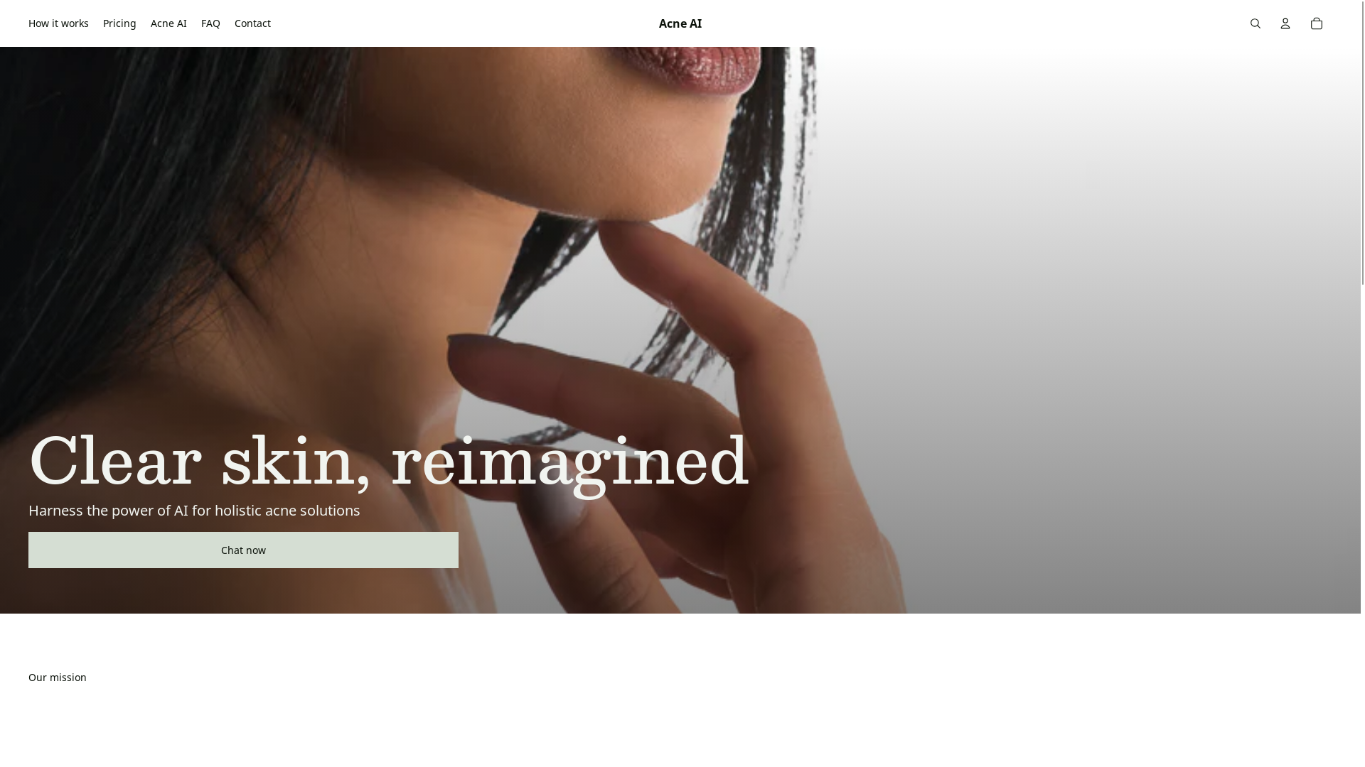 website screenshot of https://acneai.org/