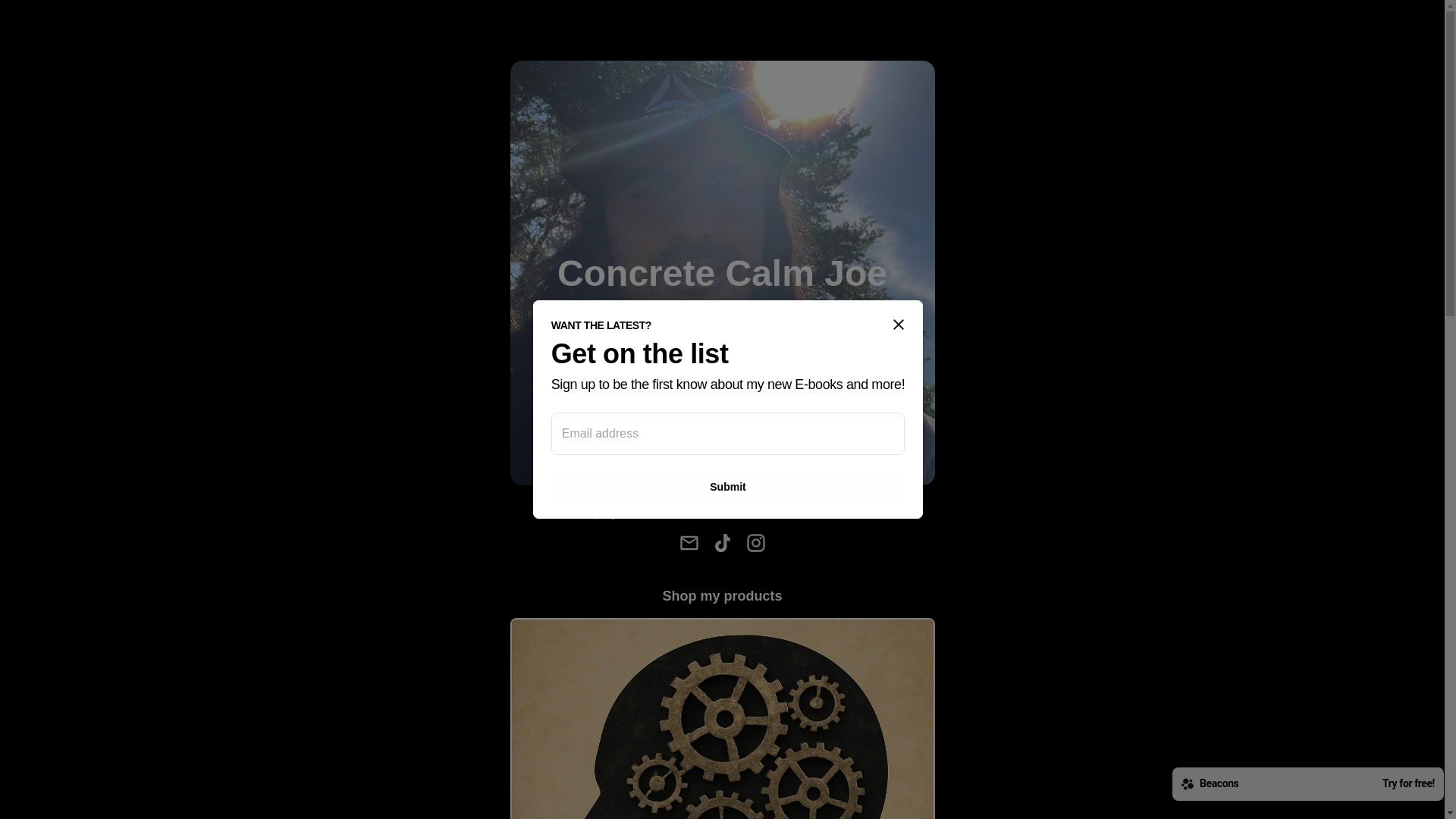 website screenshot of https://concretecalmjoe.com/